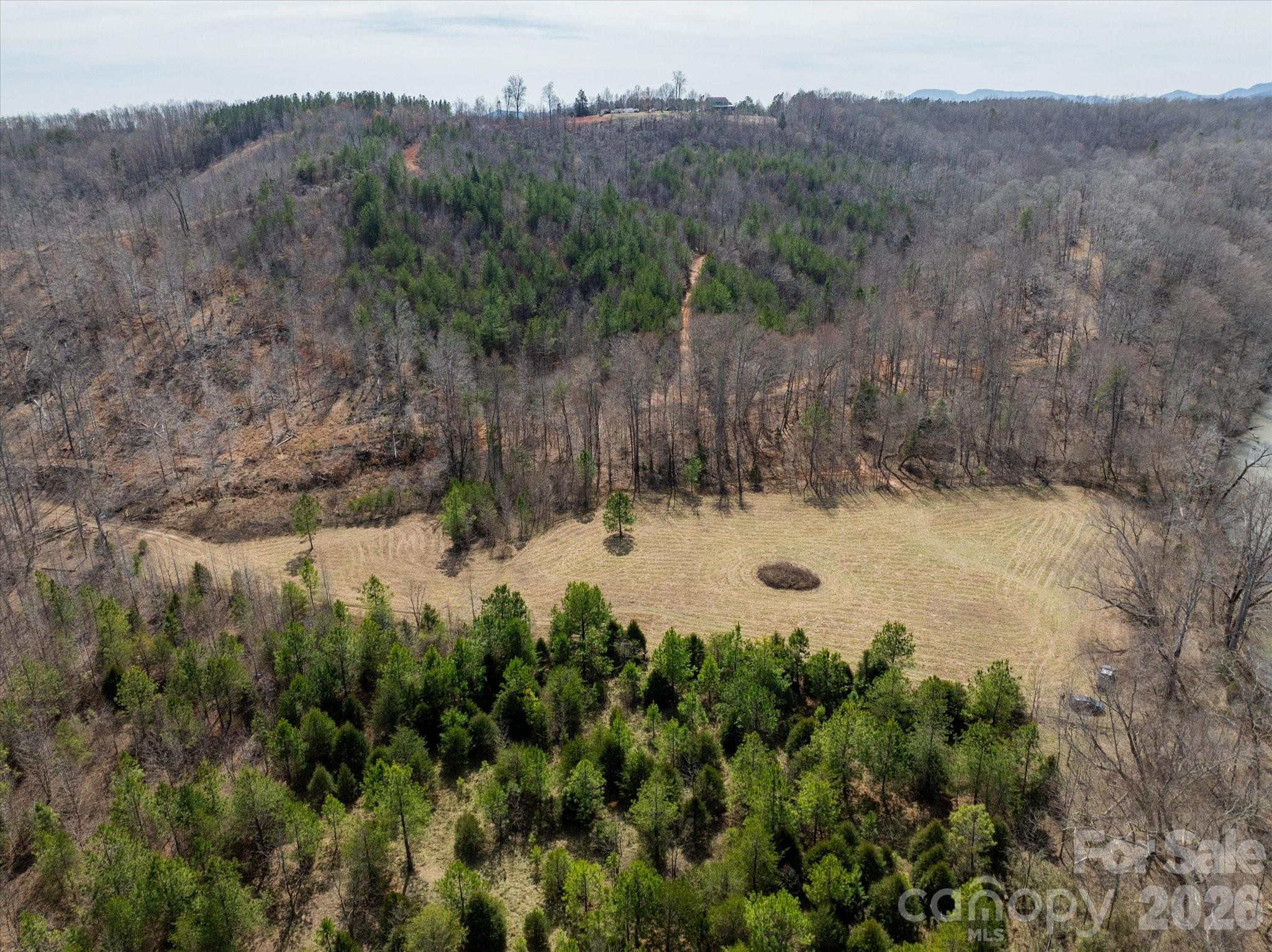 Flat, usable pastures and river frontage...look no further! This +-33 acre tract features a private driveway entrance off Abrams and Moore Rd that can be gated as desired. From the private entrance, an established gravel road with gentle grades meanders through the acreage, offering easy access for your build plans and livestock trailers. Choose from multiple build sites that all feature ideal topography and serene settings. Two natural springs flow across the land. The private road ends at the most beautiful portion of the property, with +-2 flat and maintained acres and frontage on the Green River! The pastures have been recently bush hogged and they are ready to welcome your animals and development plans. The ideal location is only minutes from US-74 and the Tryon Int'l Equestrian Center, yet it feels a world apart with the exceptional privacy offered by this special land offering.