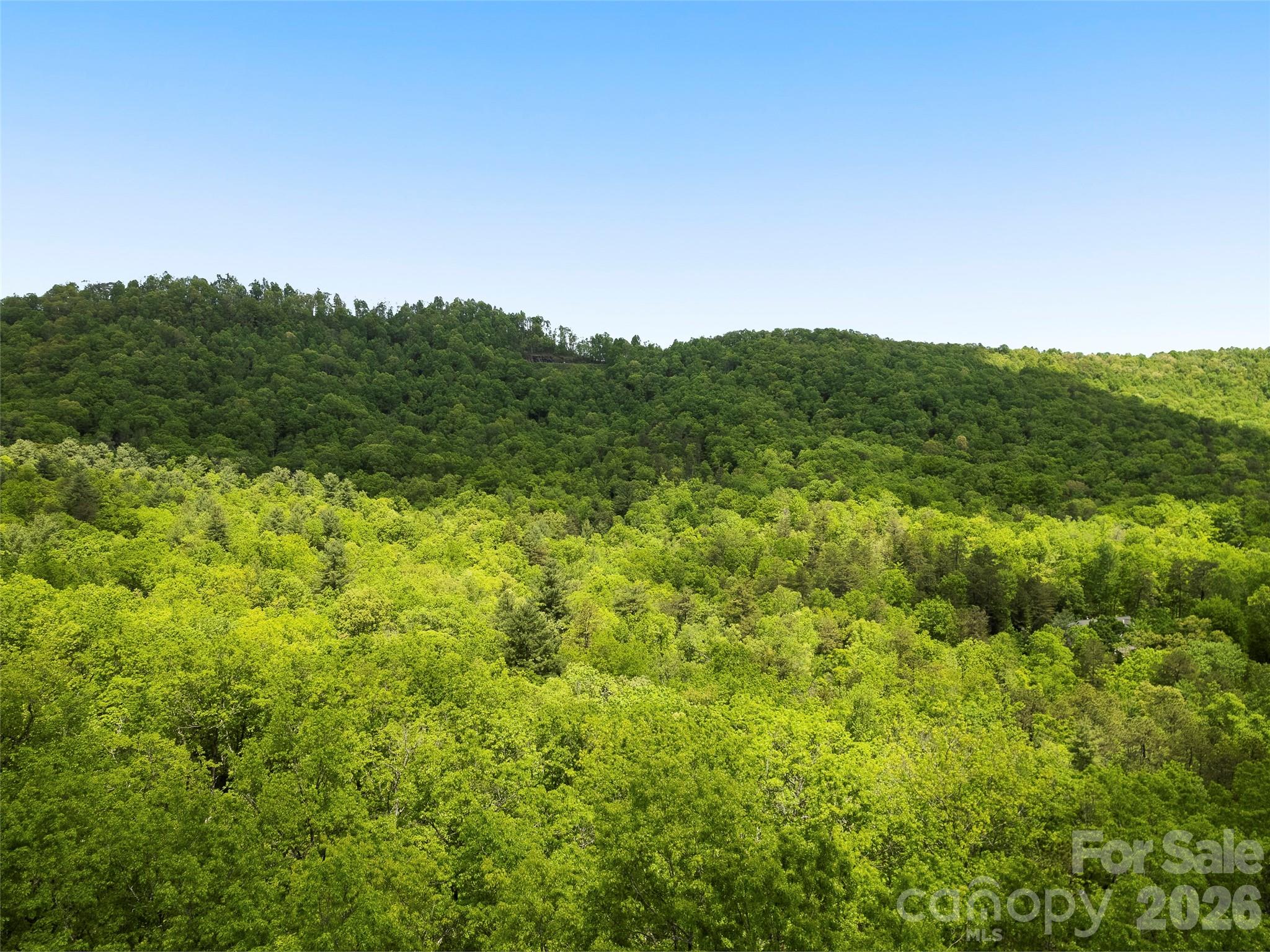 The Cliffs at Walnut Cove - Residential
