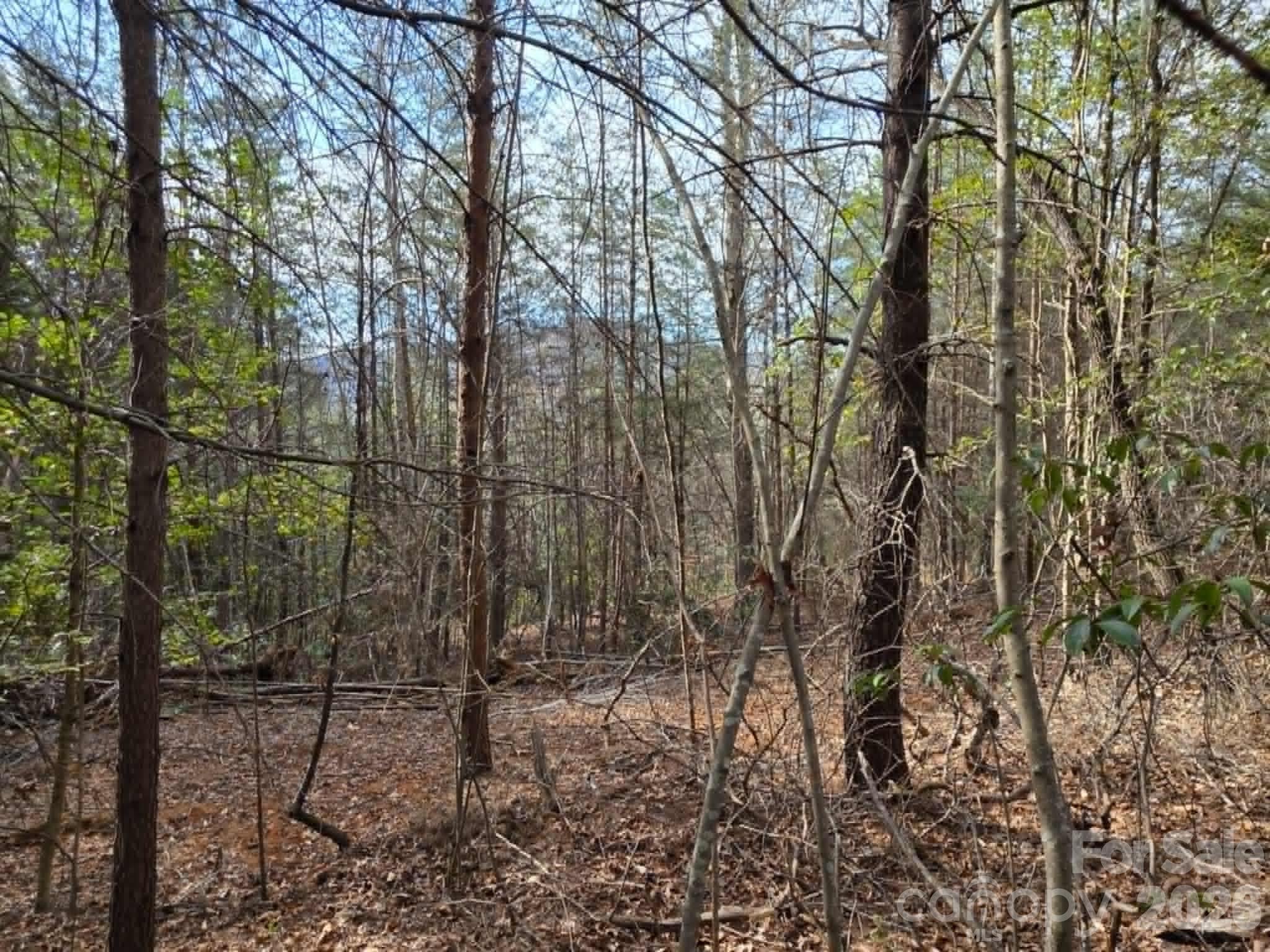 Welcome to Little Toe River, a premier new community in Old Fort! Lot 6 is a stunning 1.08 acre corner lot offering the perfect canvas for your mountain retreat. Enjoy the peace of nature without sacrificing convenience—you’re just an 8-minute drive from downtown Old Fort’s vibrant breweries, local dining, and shopping. With world-class hiking and biking trails nearly at your doorstep and easy access to I-40, this lot offers the ultimate Western NC lifestyle.