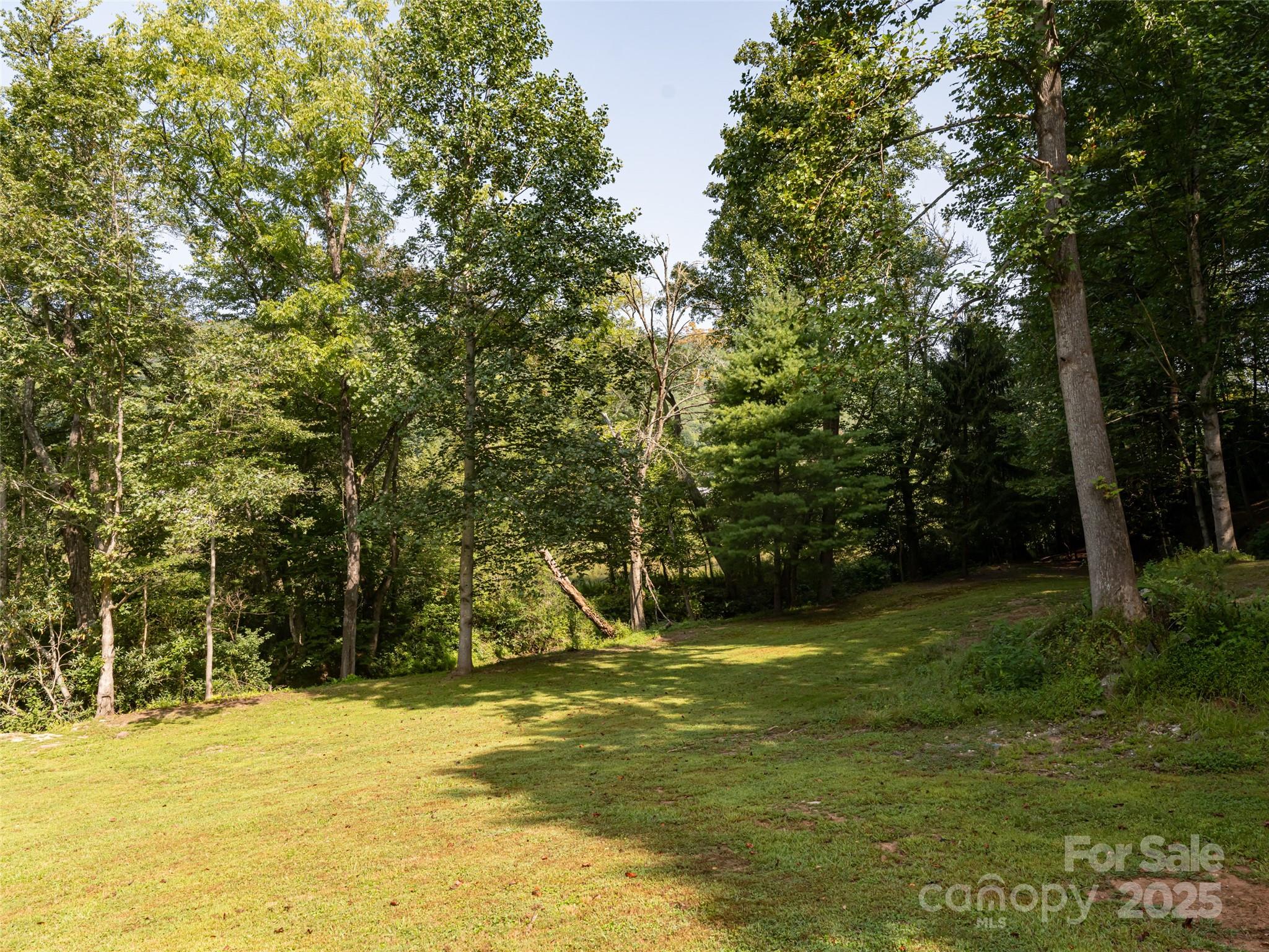 Lots 8-9: Del Sol Drive Incredible opportunity to purchase property in Mills River with light restrictions. This opportunity includes 2 lots. Great opportunity for a contractor looking to build a few new homes in this picturesque community. Lots have been surveyed and plat is on record. Let's discuss the possibilities. Lots can be purchased separately for $69,000 each.
