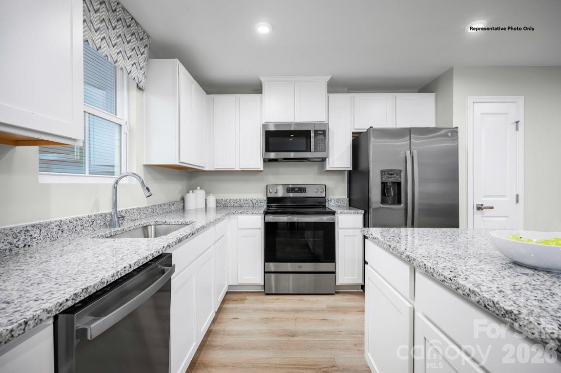 Laney Farms - Residential