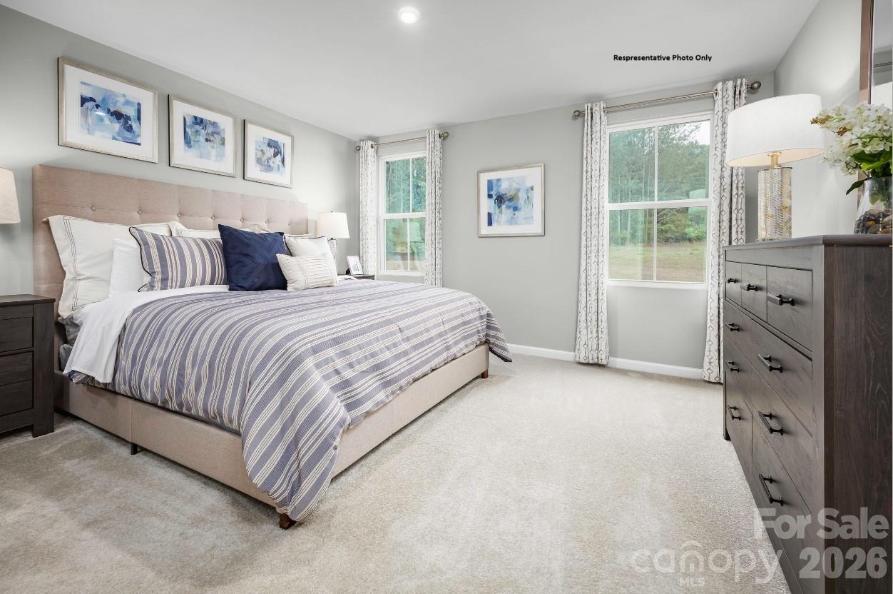 Laney Farms - Residential