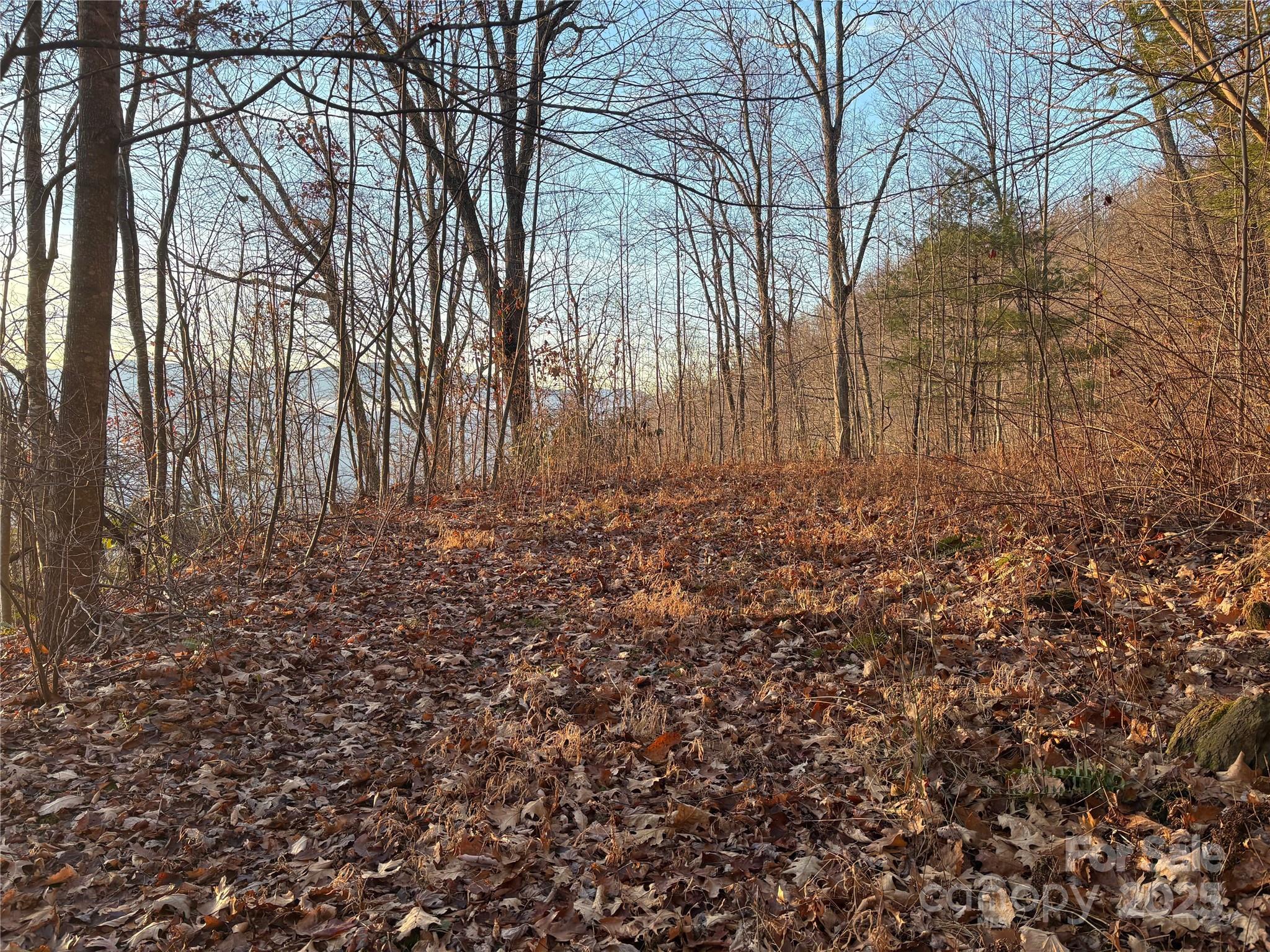 Panther Creek Estates - Land