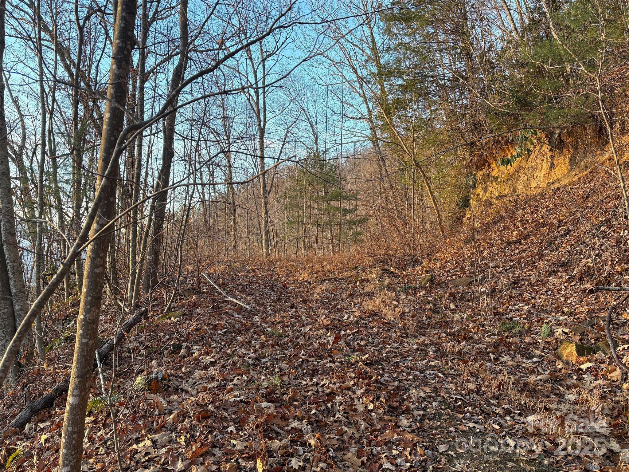Panther Creek Estates - Land
