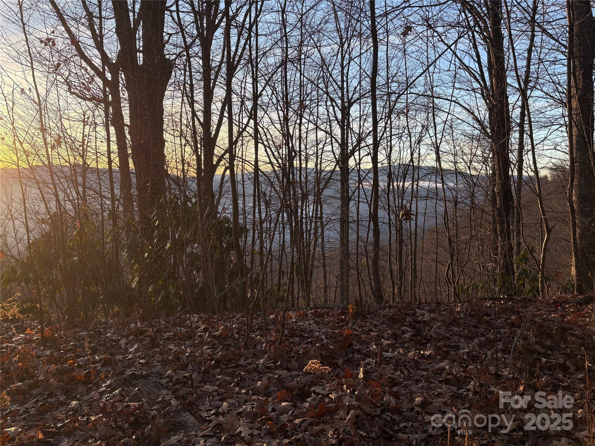 Panther Creek Estates - Land