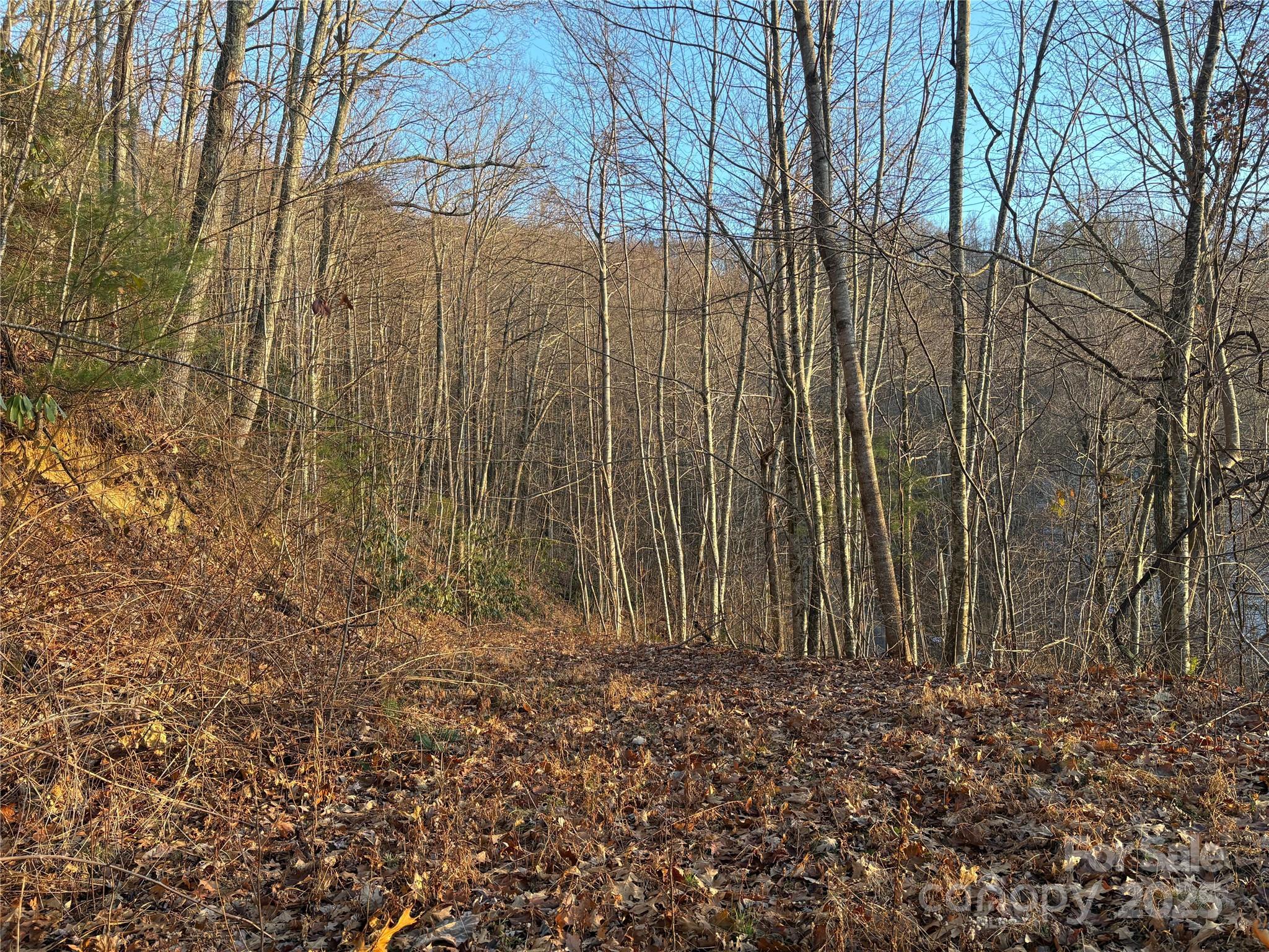 Panther Creek Estates - Land