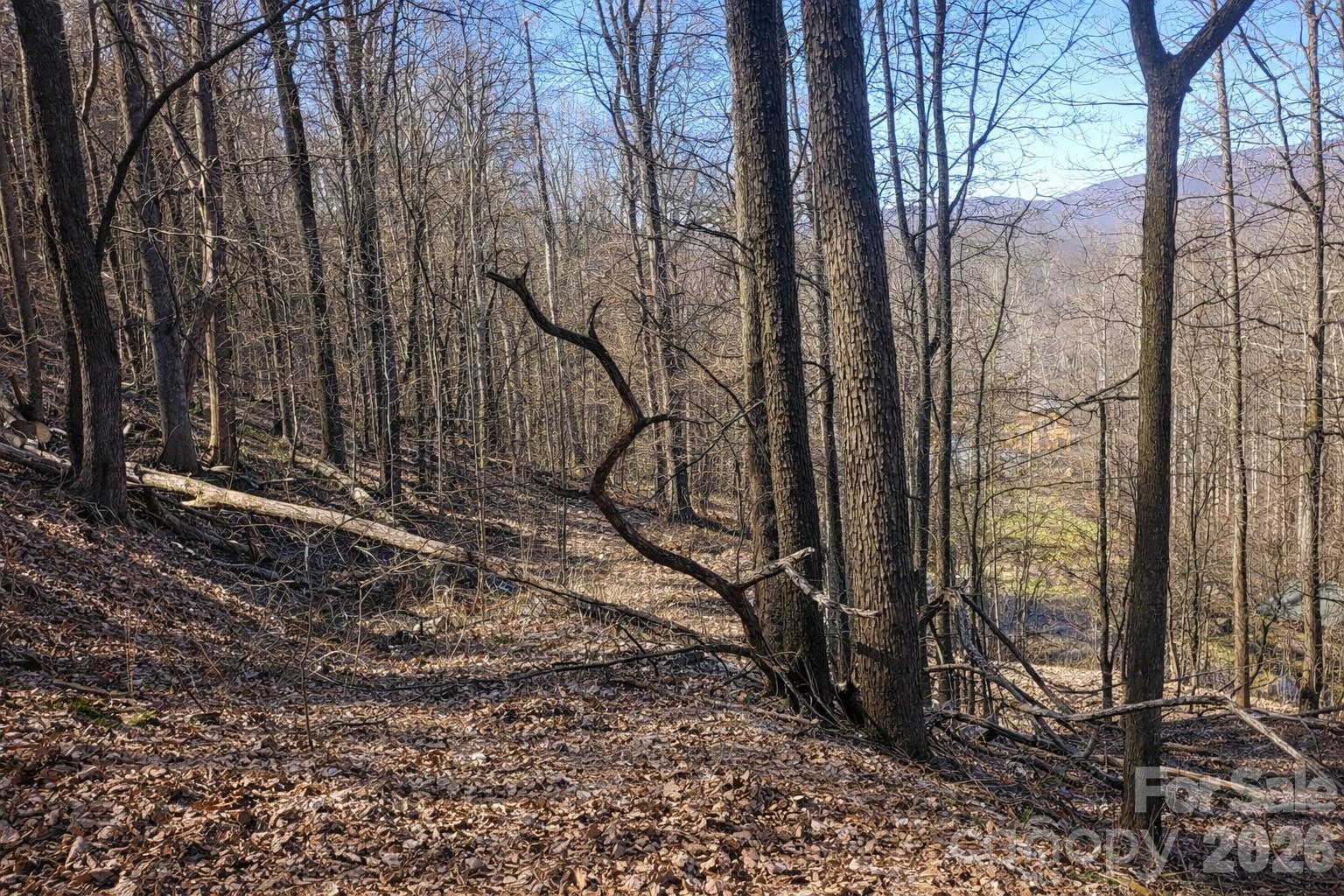 Maggie Valley Leisure Estates - Land