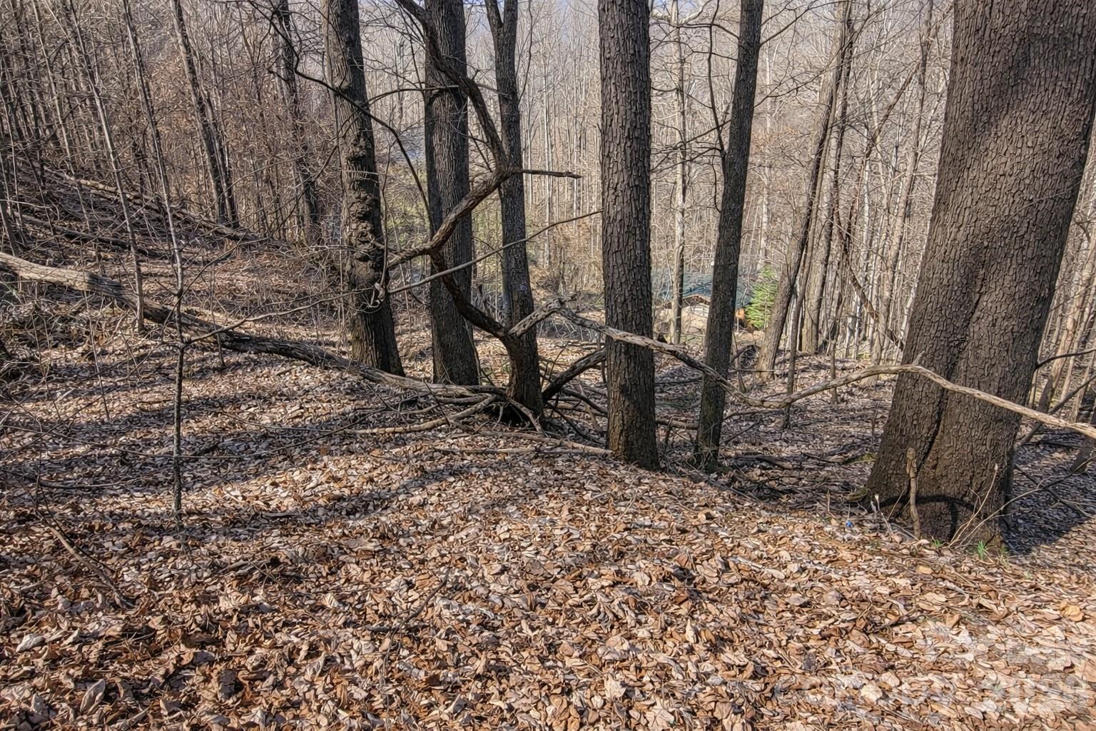 Maggie Valley Leisure Estates - Land