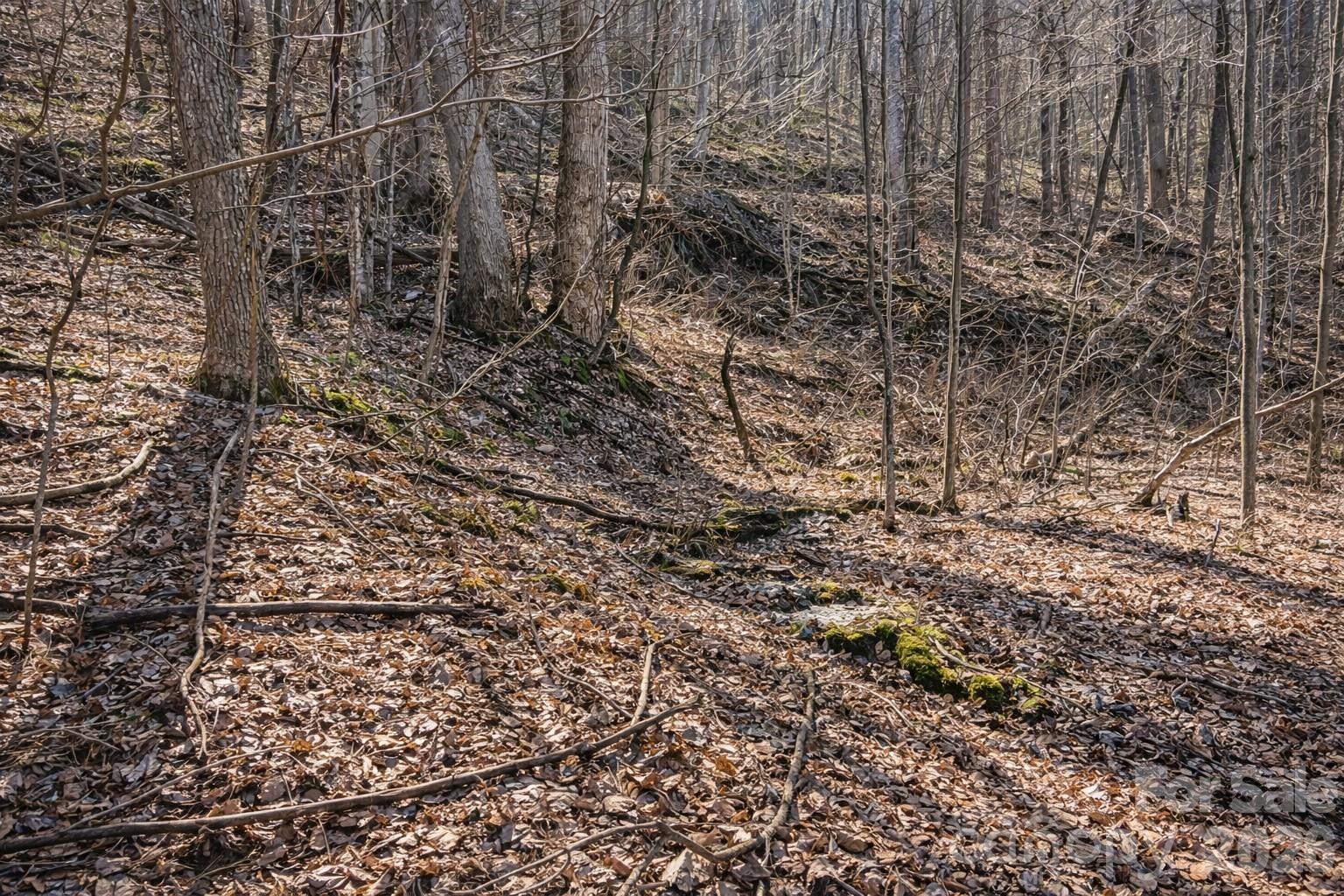 Maggie Valley Leisure Estates - Land