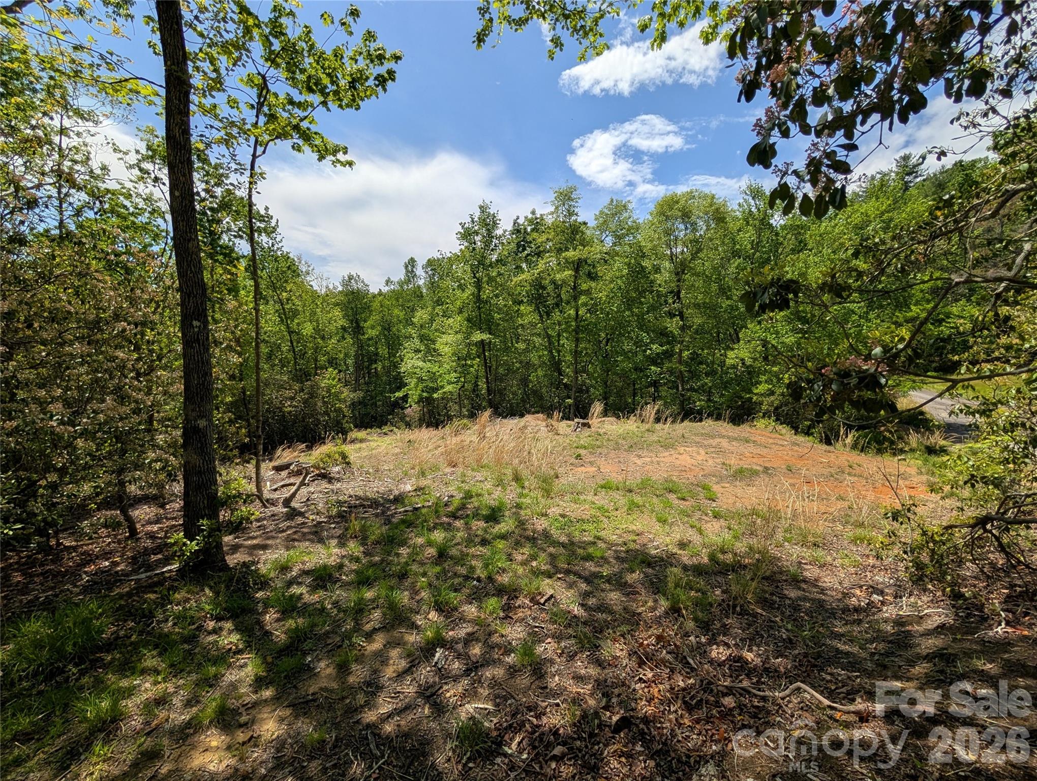 Wilson Farm - Land