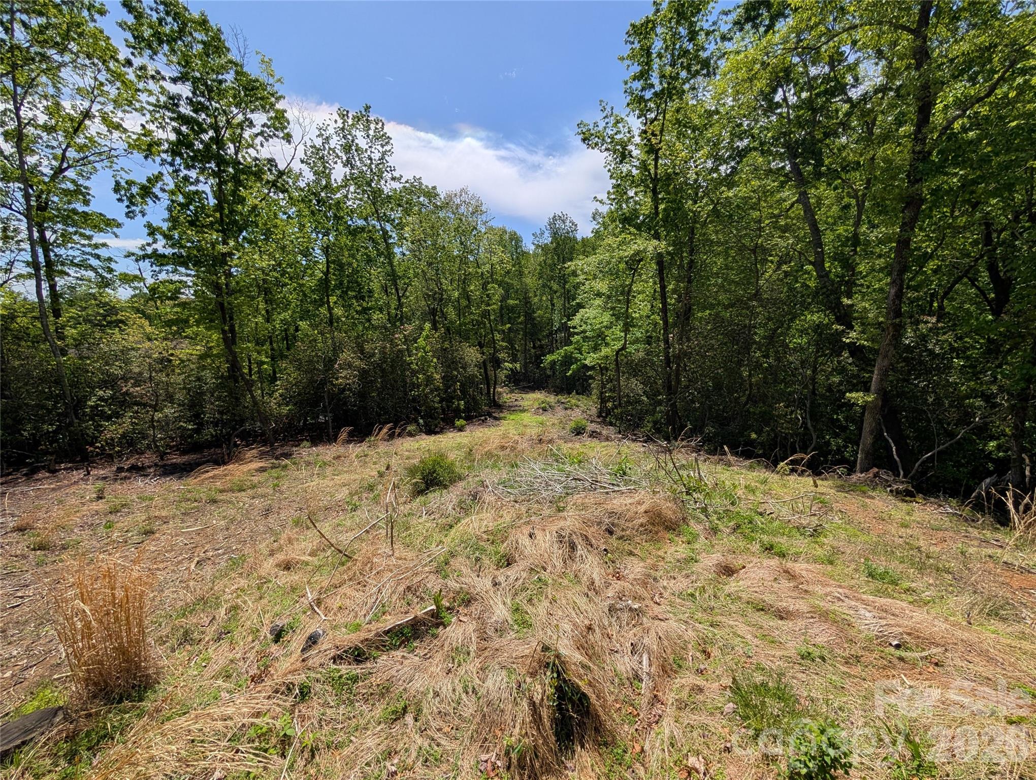 Wilson Farm - Land