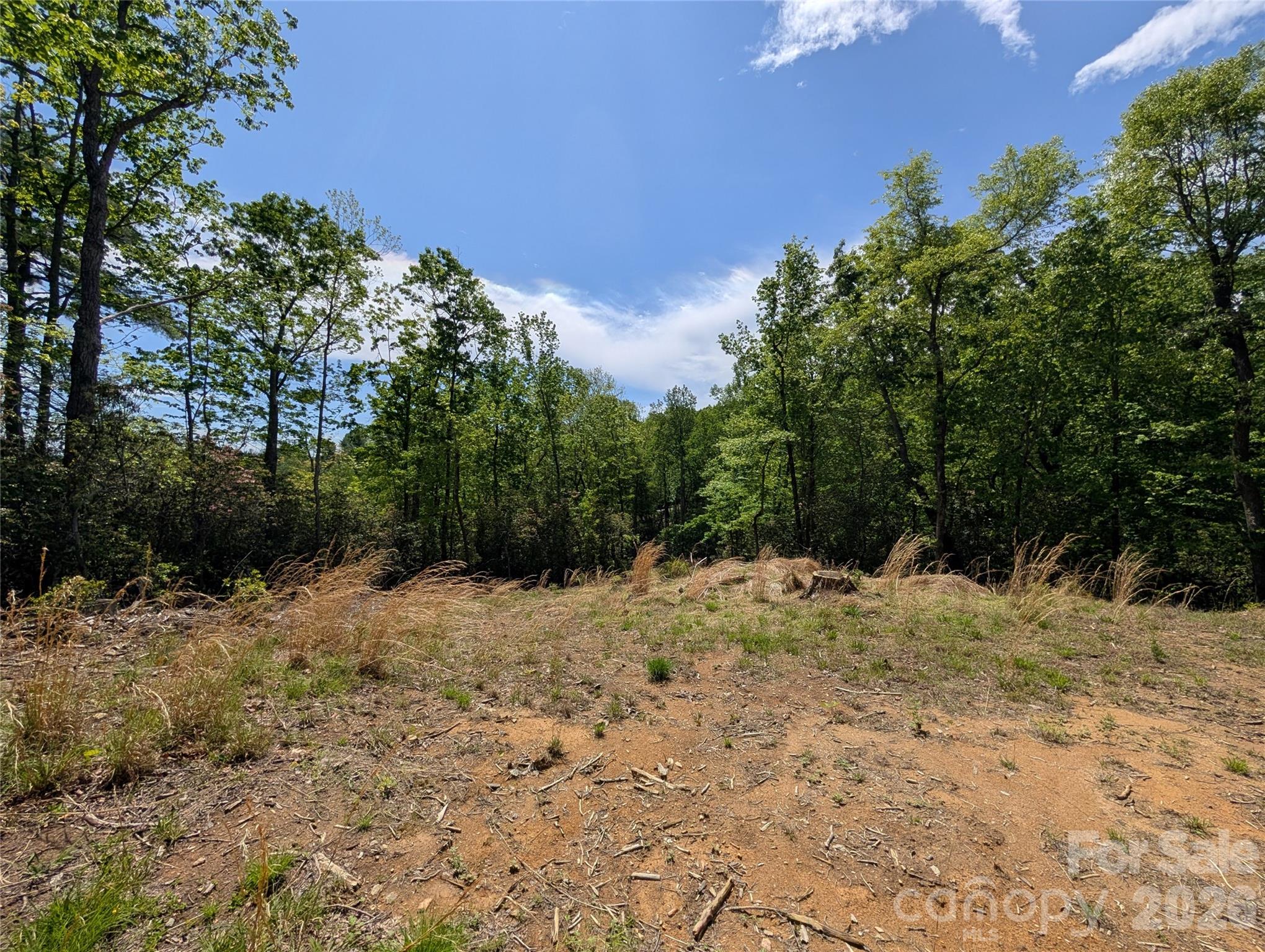 Wilson Farm - Land