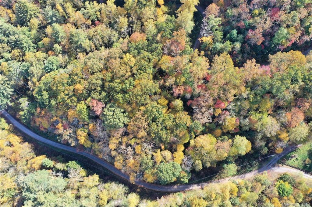 Mountain Forest Estates - Land