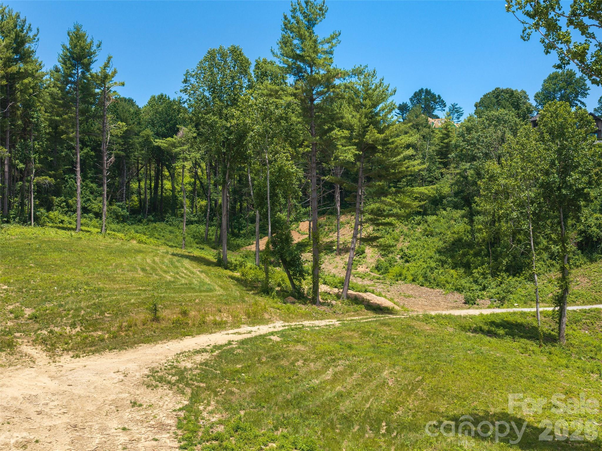 Grand Highlands at Bearwallow - Land