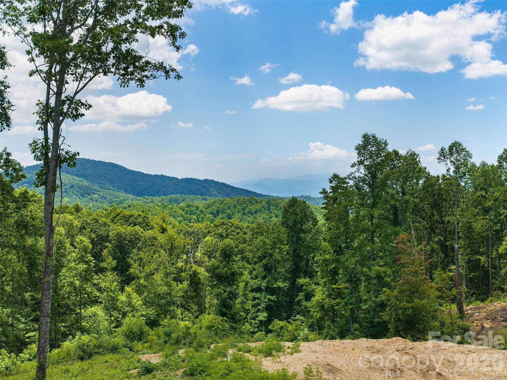 Grand Highlands at Bearwallow - Land