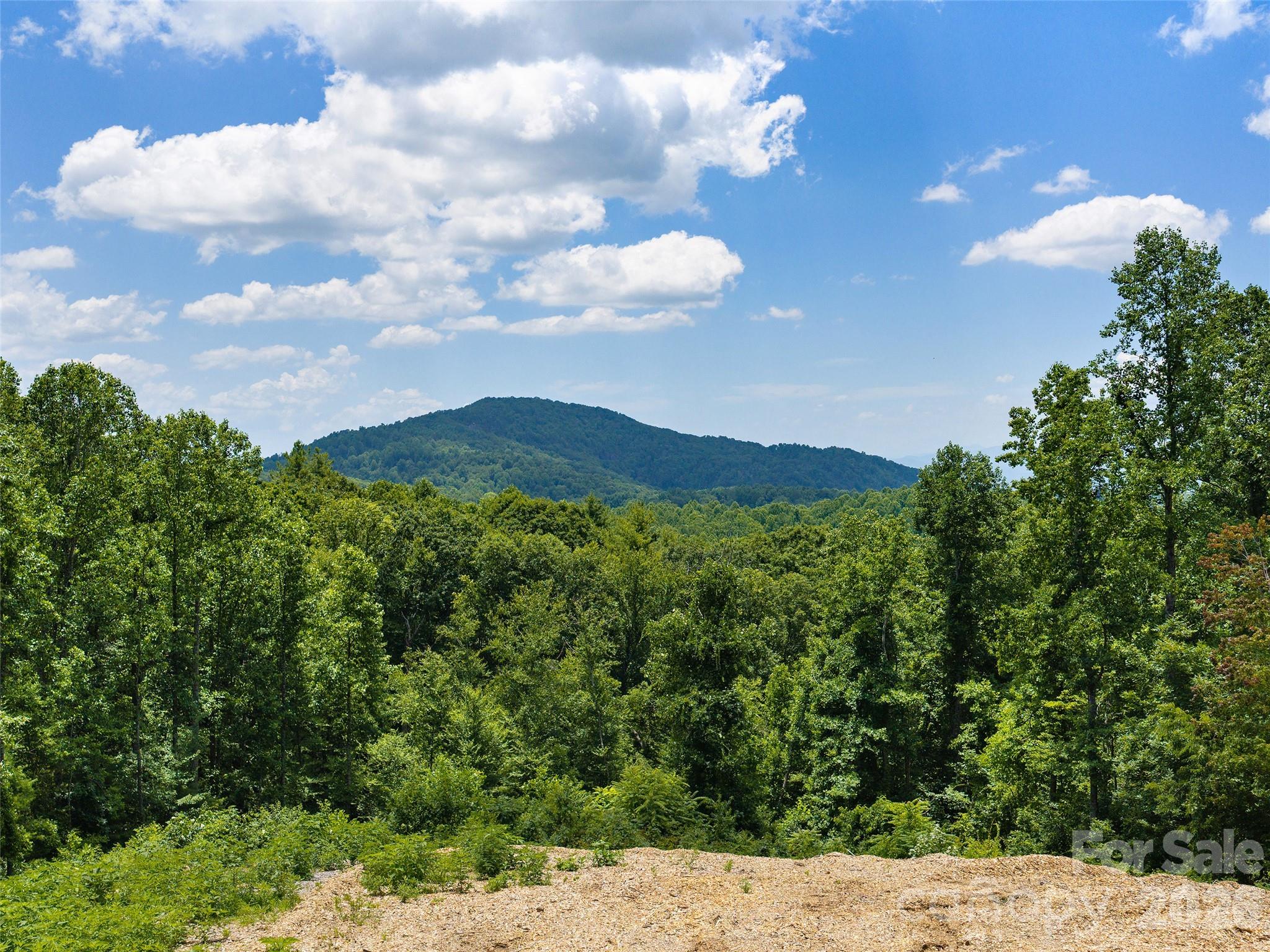 Grand Highlands at Bearwallow - Land