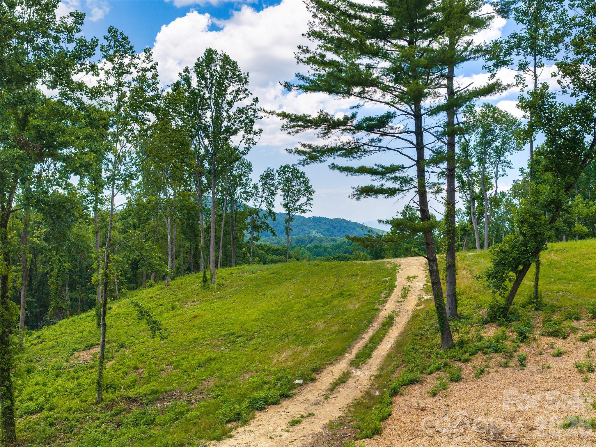 Grand Highlands at Bearwallow - Land