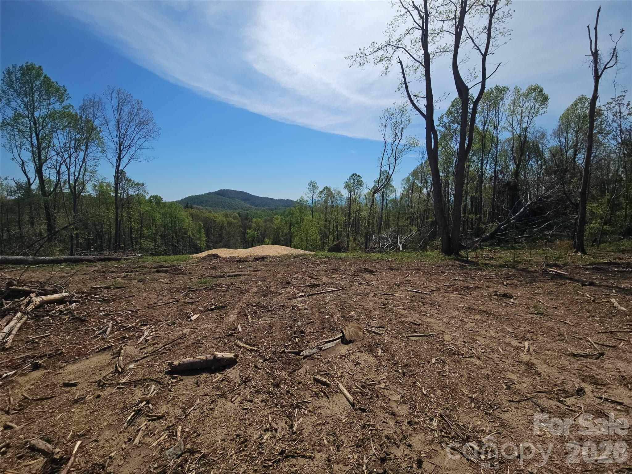 Grand Highlands at Bearwallow - Land