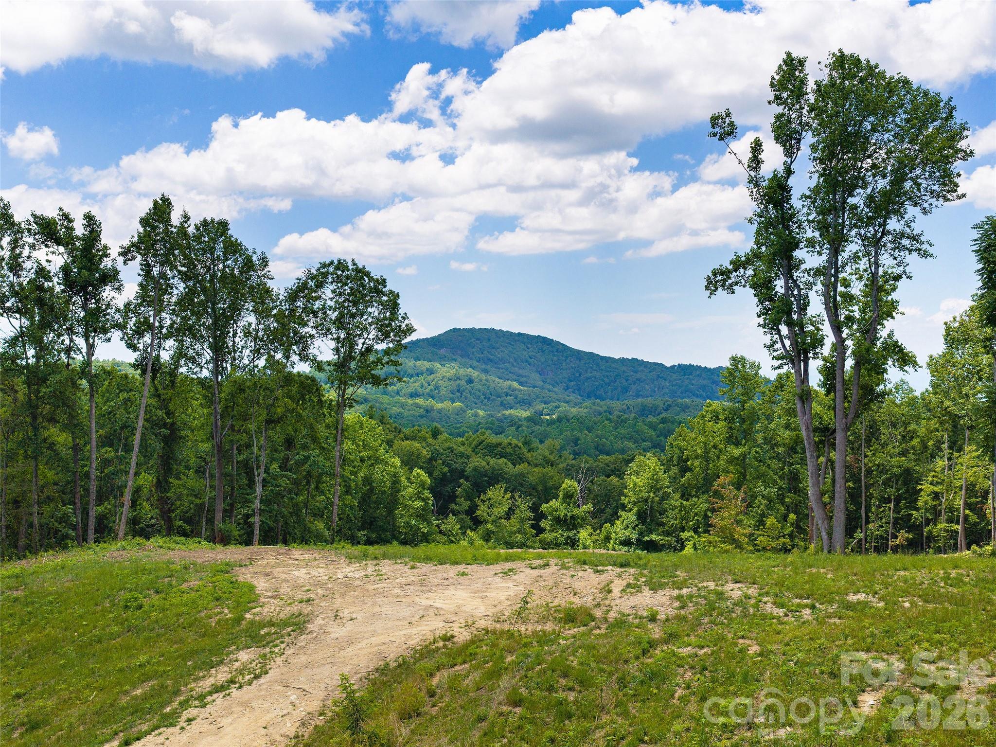 Grand Highlands at Bearwallow - Land