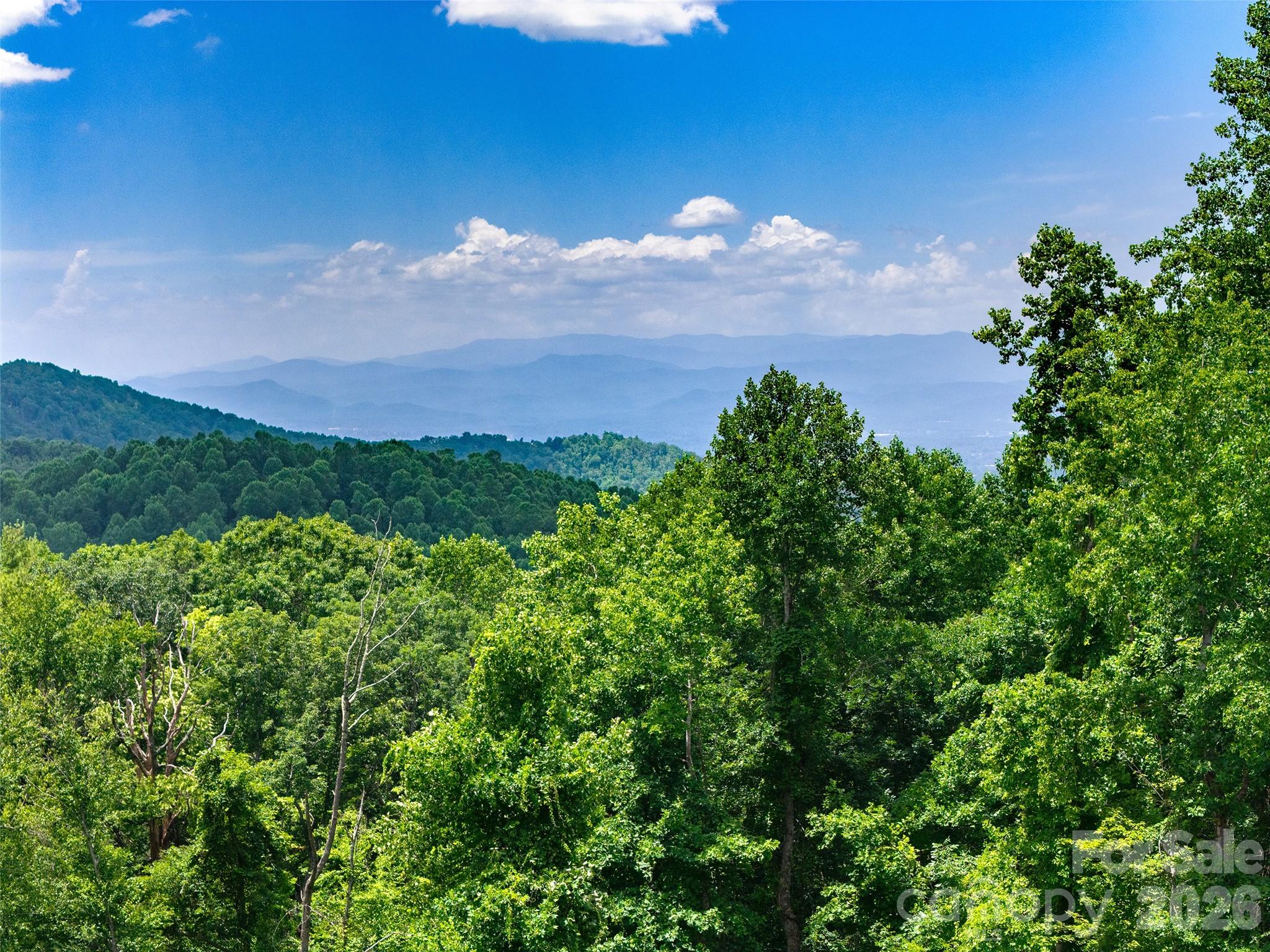 Grand Highlands at Bearwallow - Land