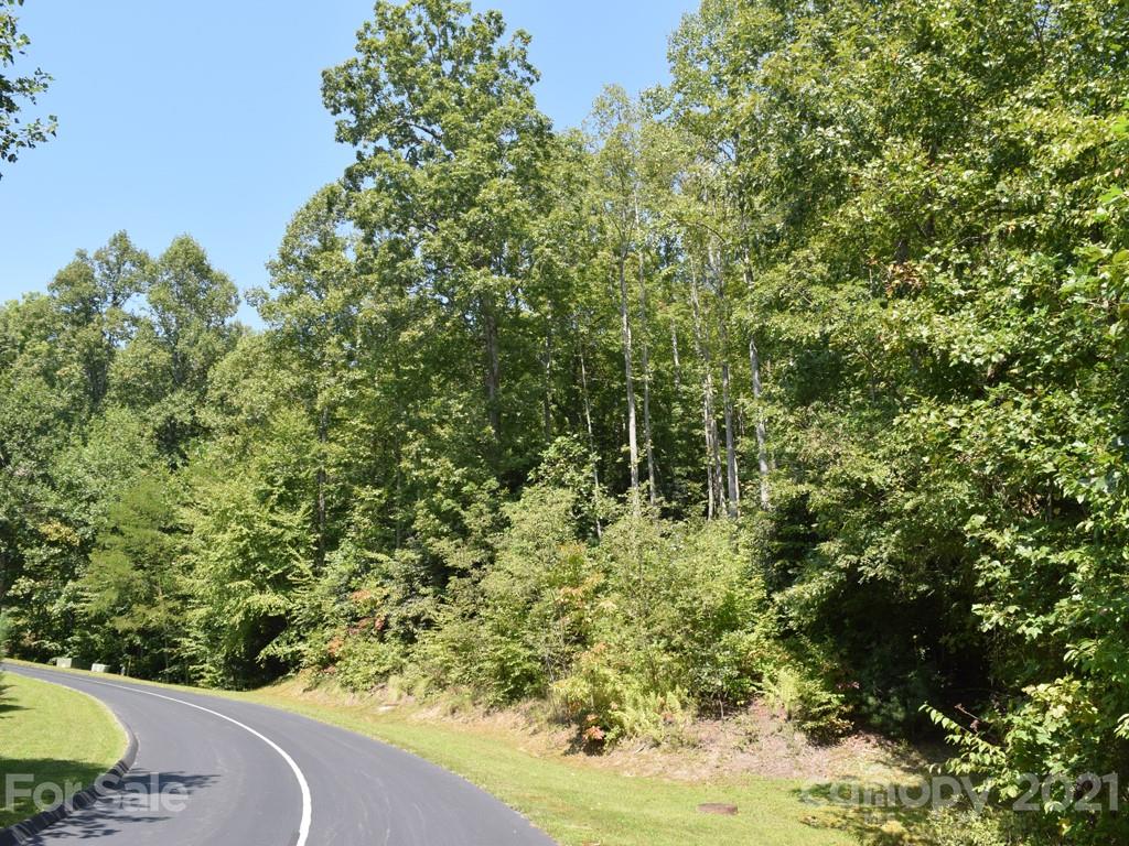 Make your mountain dream home come true by exploring the possibilities available to you in the outstanding community of Cummings Cove. This above road lot is ready for your vision, your house plans and your perfect touches. Enjoy a host of social activities available to you including a golf course, outdoor pool, spa, tennis courts, clubhouse, bocce ball and pickle ball. City water and community sewer available. Why wait any longer? You deserve it - live the life you choose!