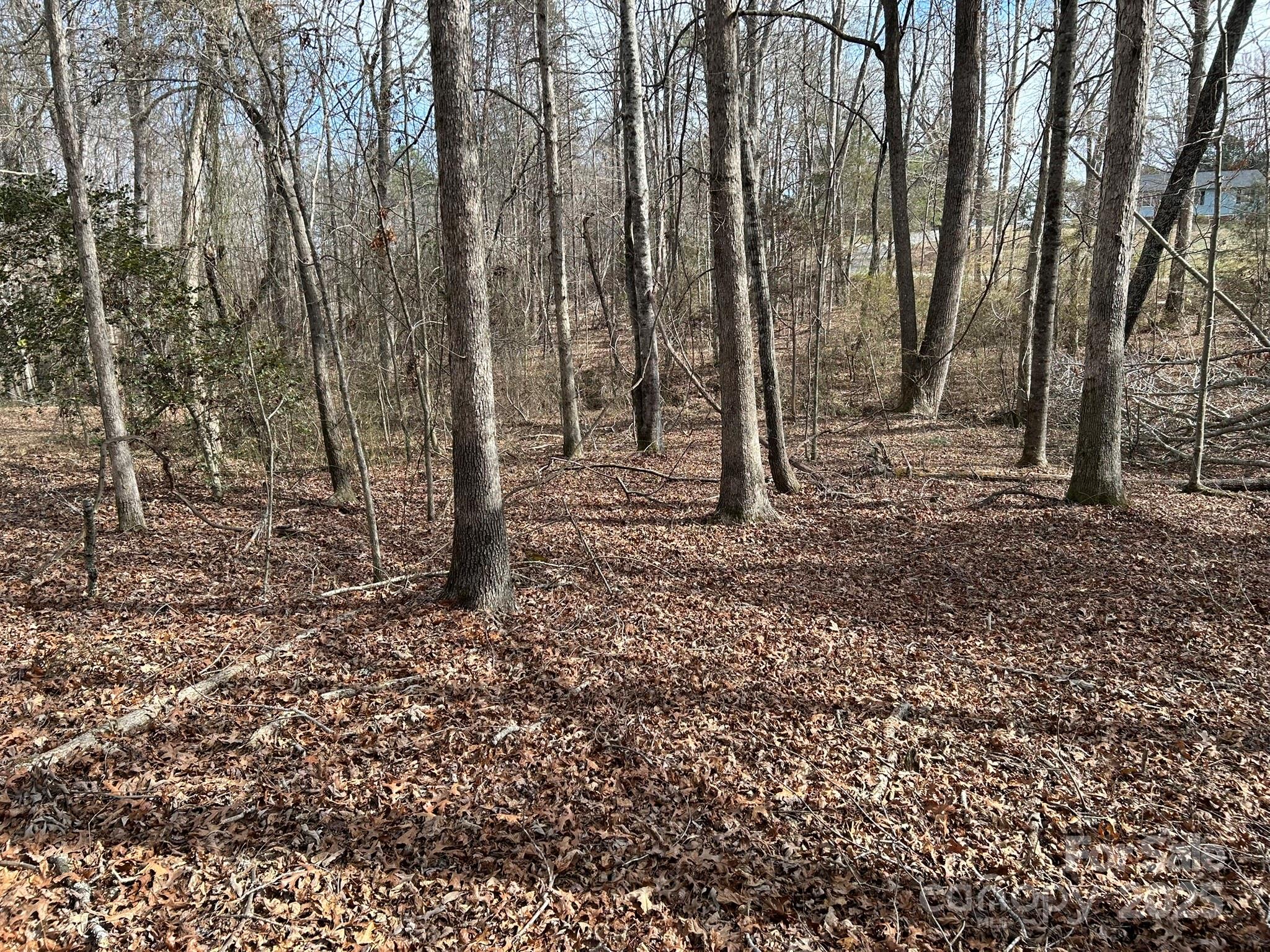 Woodfield - Land