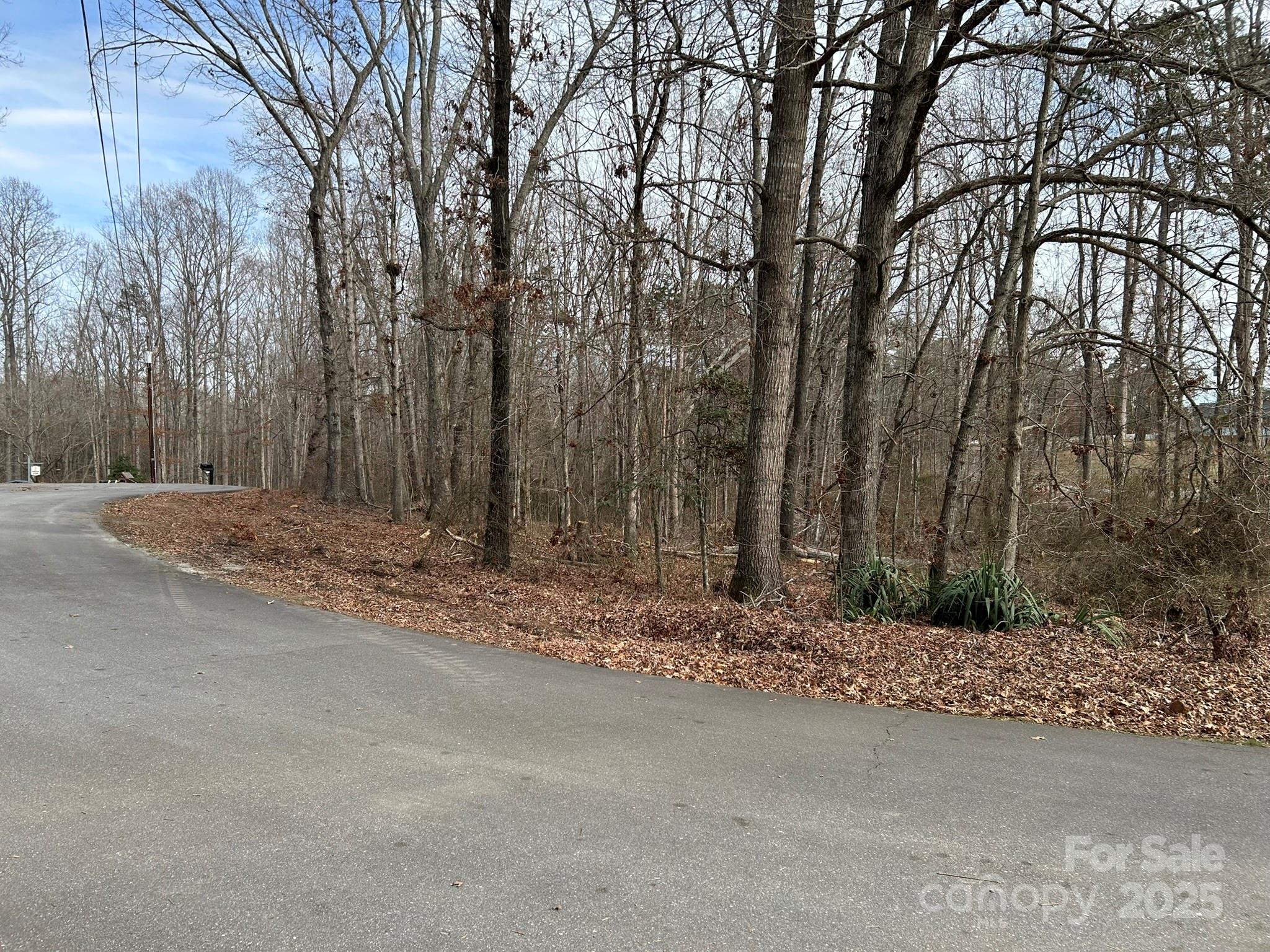 2 lots totaling .83 acres being sold together. Located in well-established neighborhood w/no thru traffic. Good road frontage that wraps around to cul-de-sac. Mostly gentle grade with multiple building sites. Protective Covenants in place. No mobile homes allowed. Forest City water available, but septic needed. Owner will consider financing. Please call for information regarding septic.