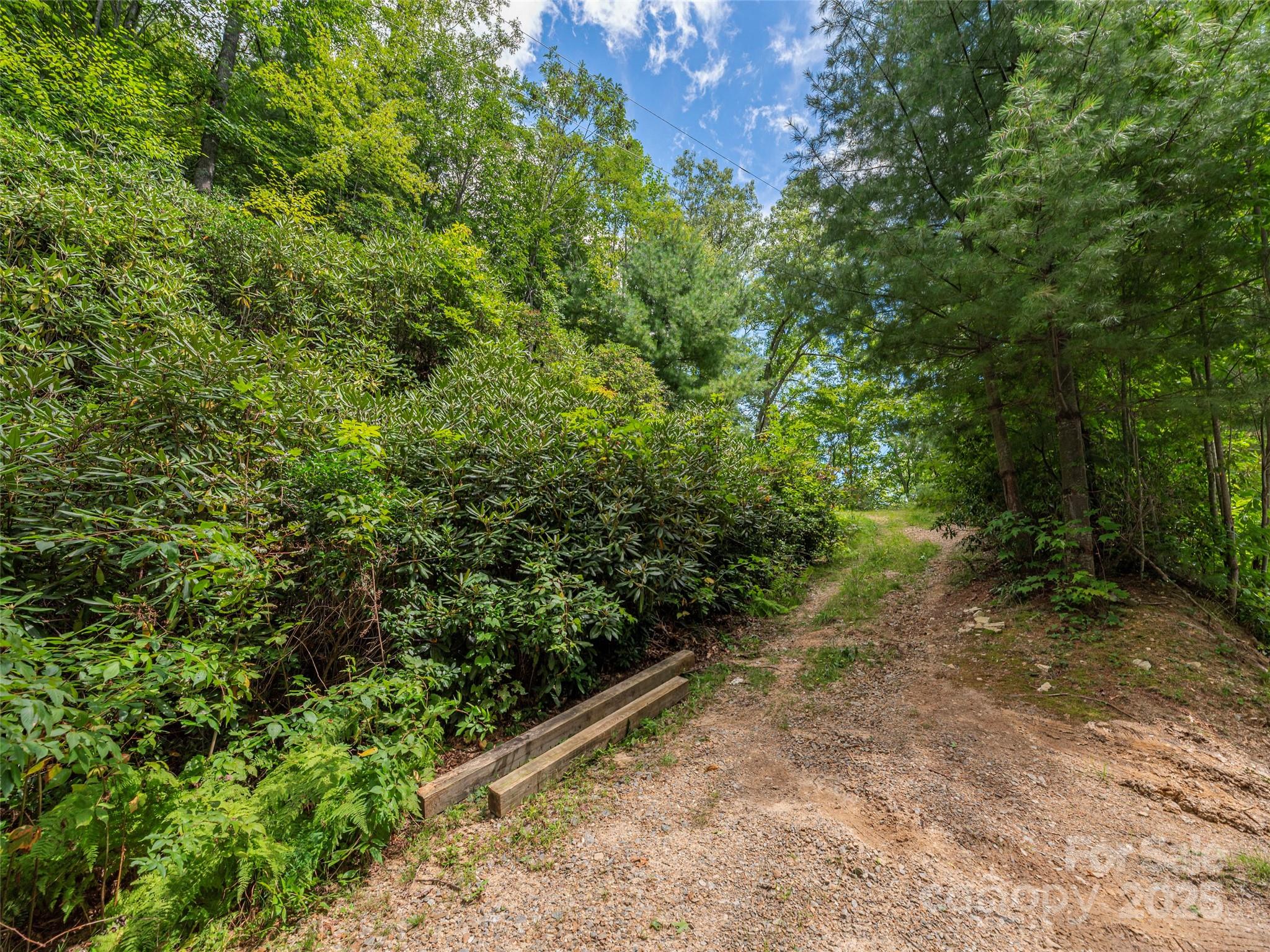 Bear Ridge - Land