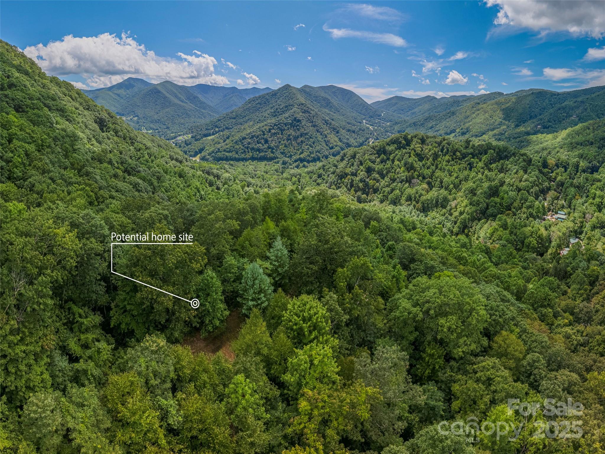 Bear Ridge - Land