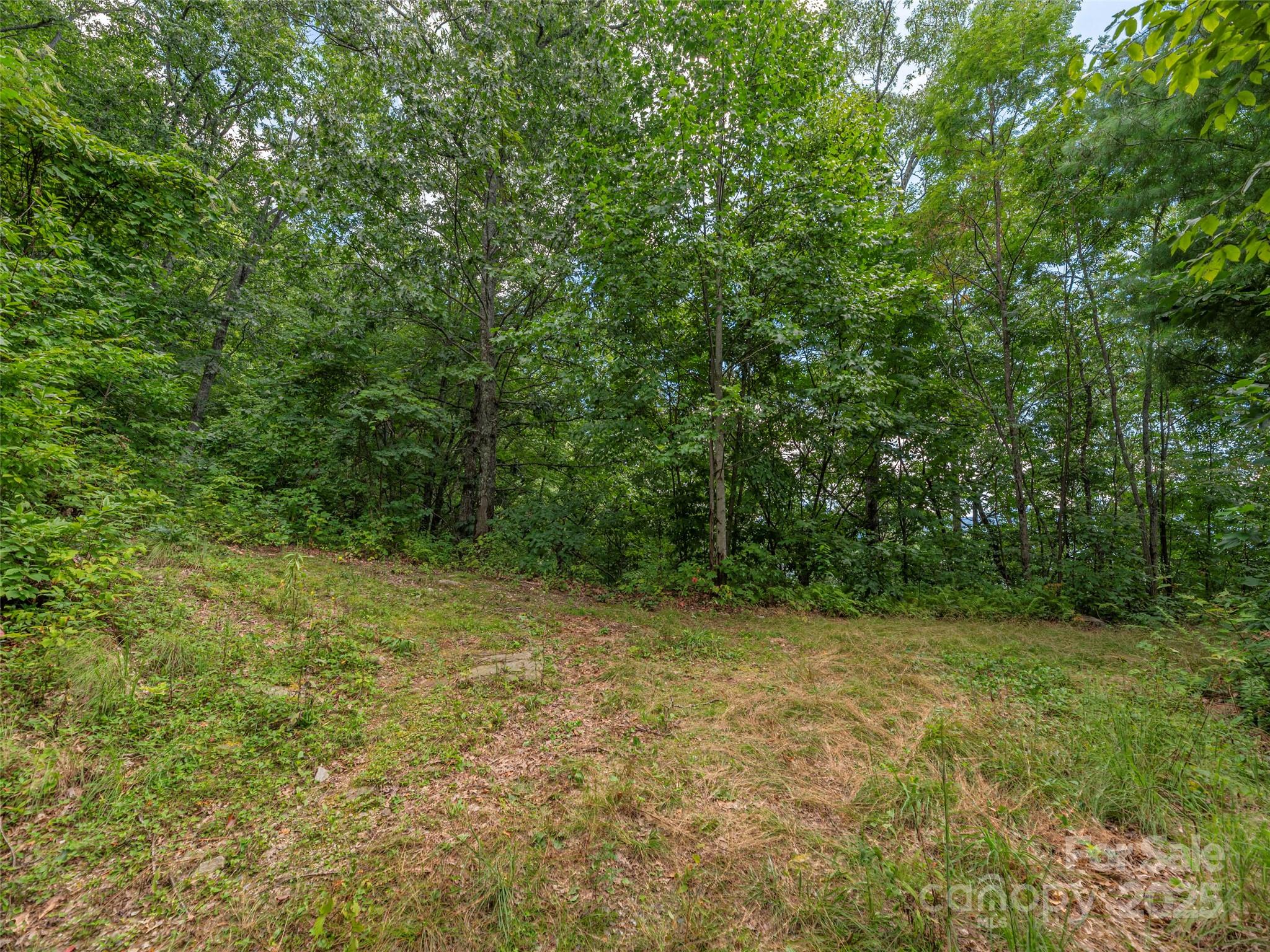 Bear Ridge - Land