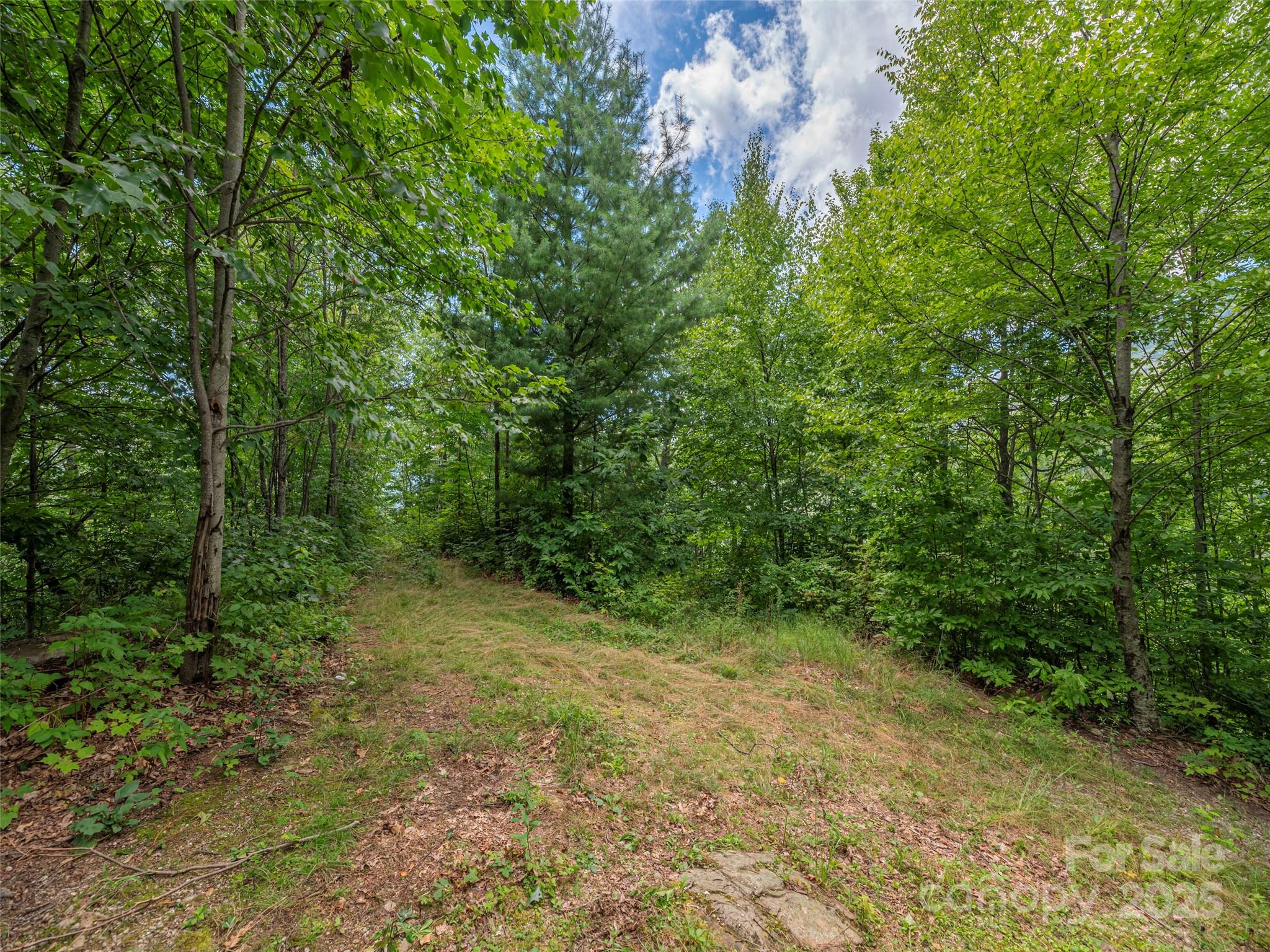 Bear Ridge - Land