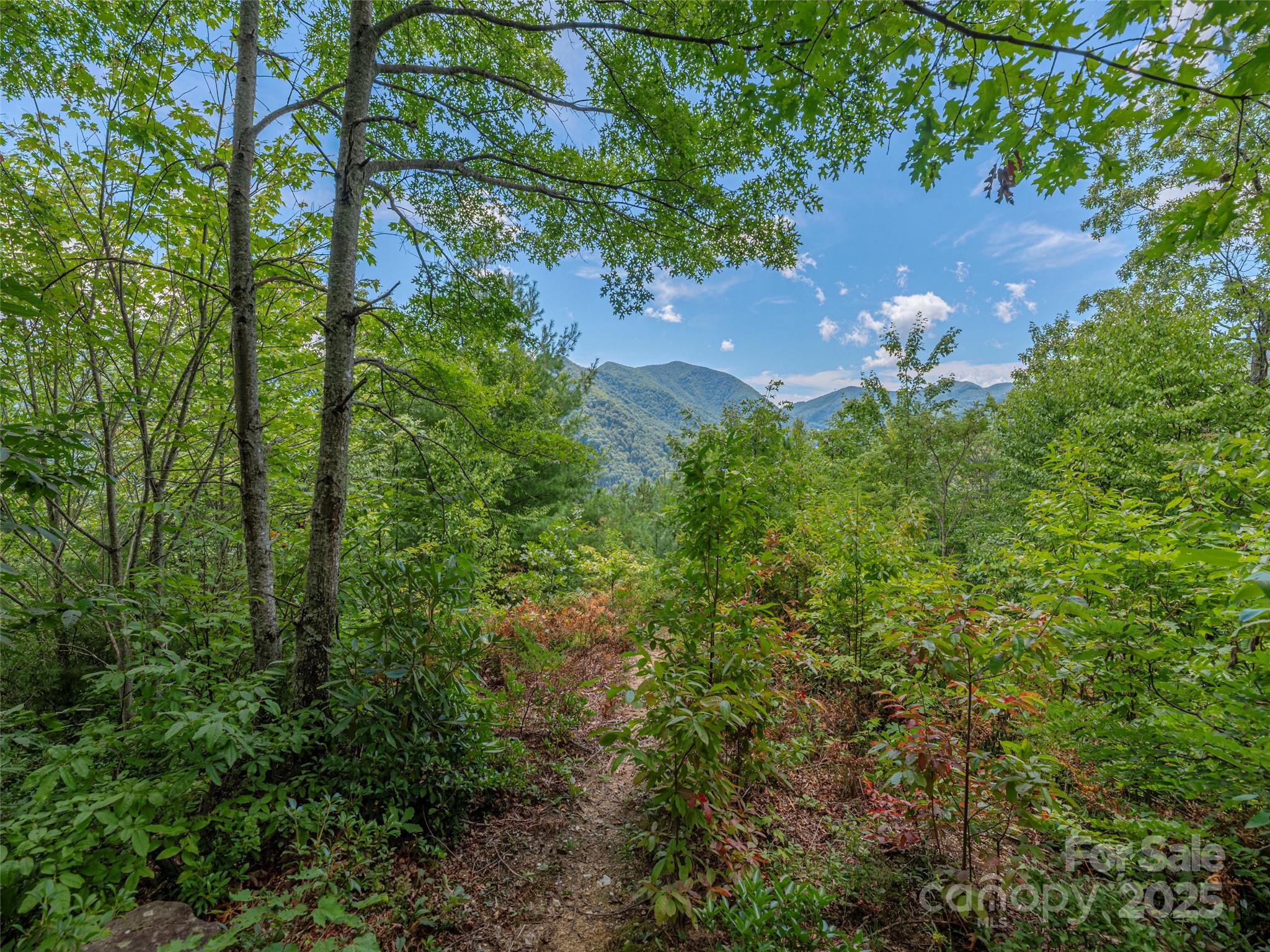 Bear Ridge - Land