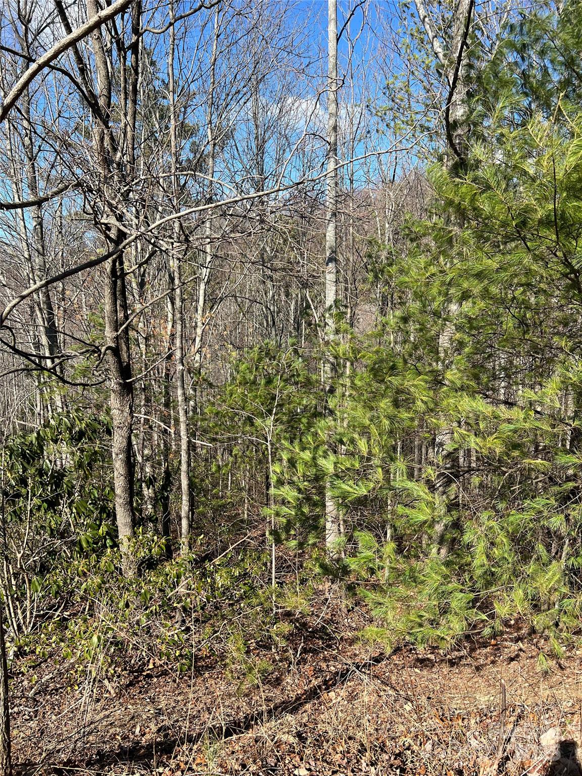 Timber Rock - Land