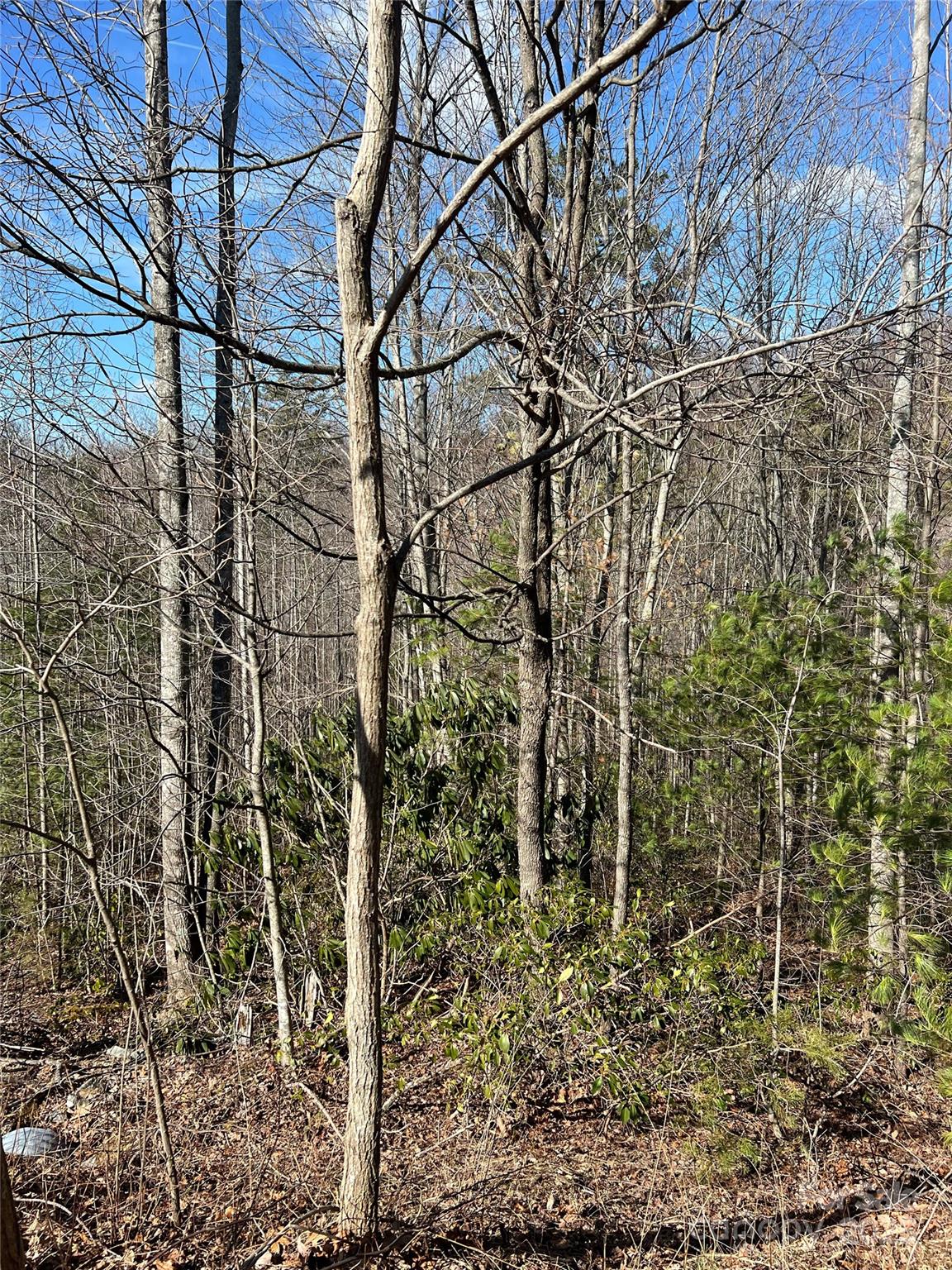Timber Rock - Land