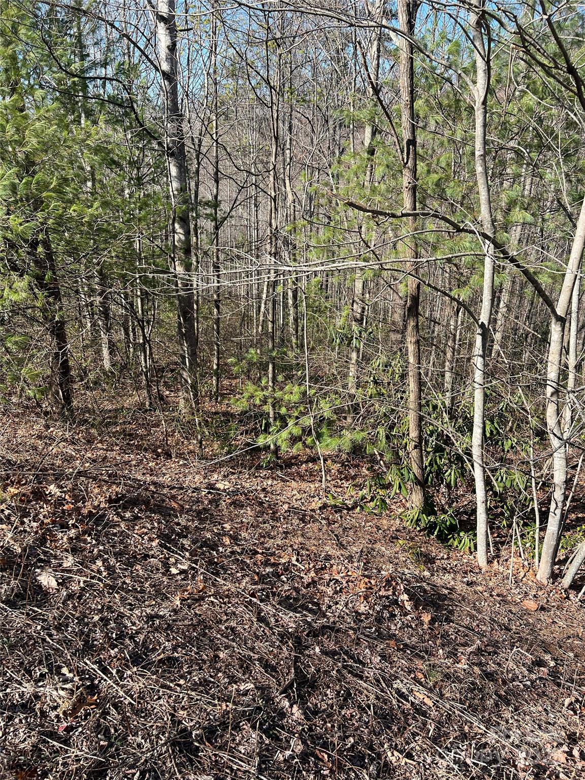 Timber Rock - Land