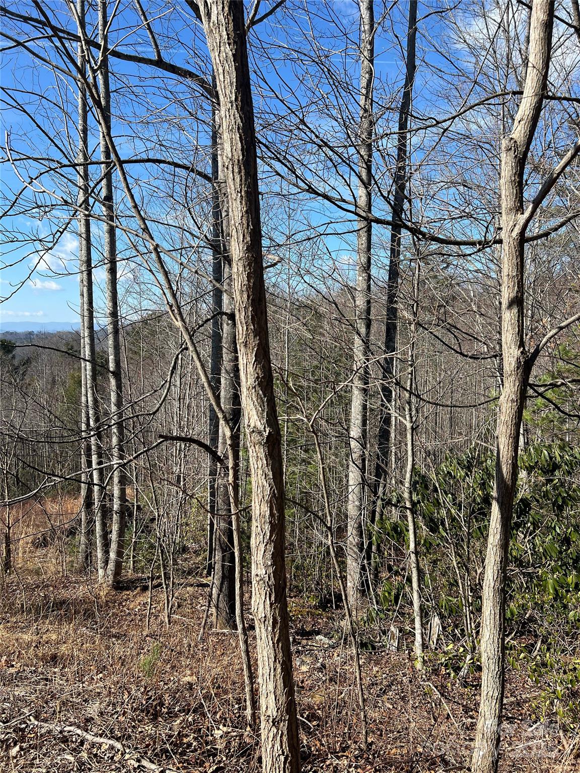 Timber Rock - Land
