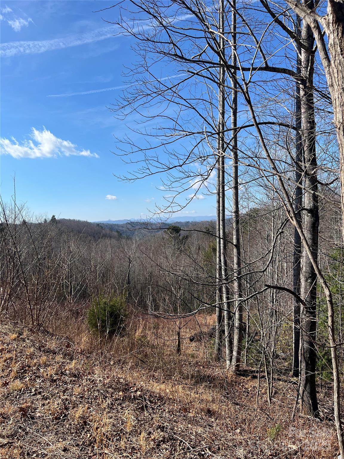 Timber Rock - Land