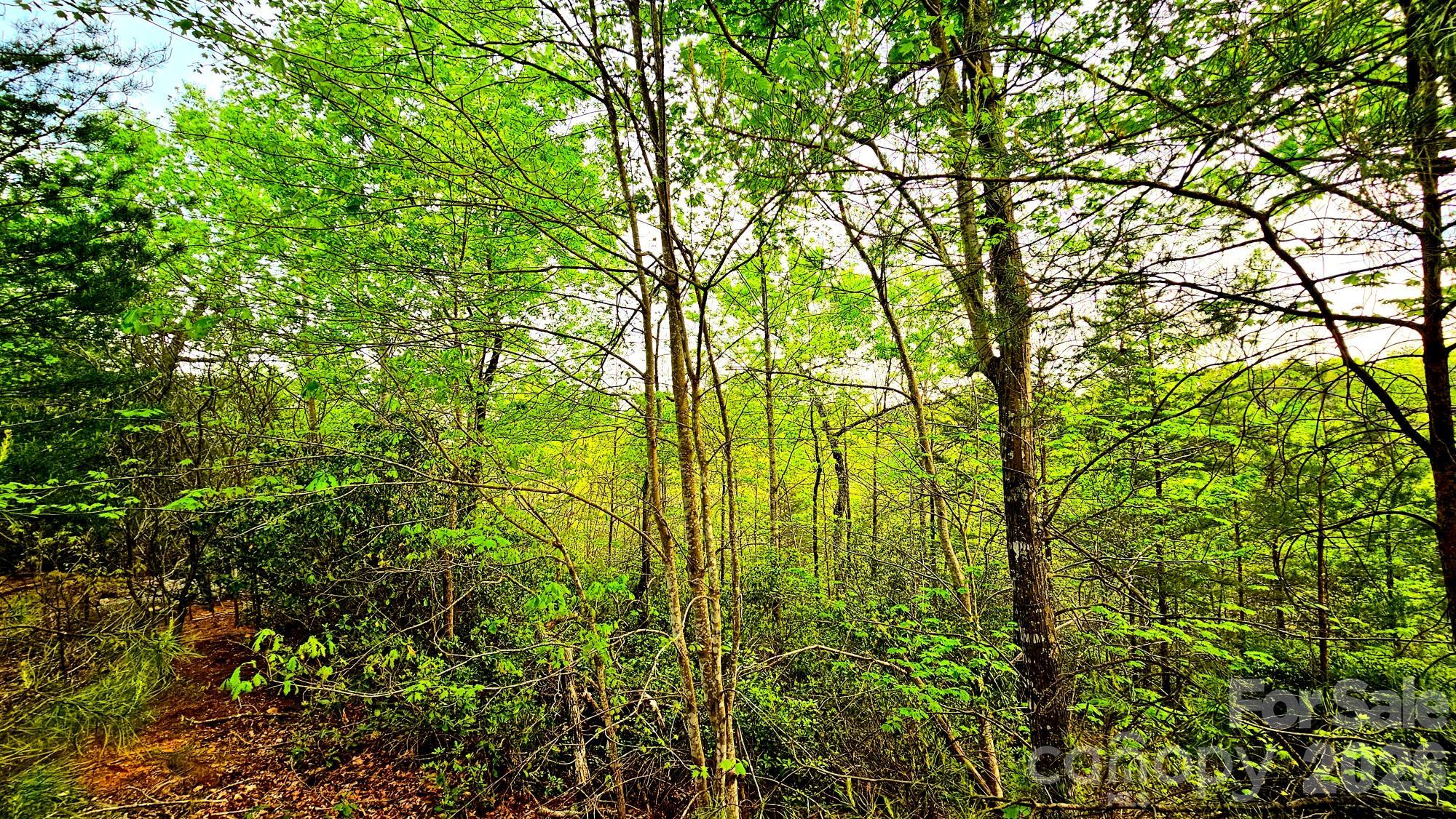 Highlands of Lake Lure - Land