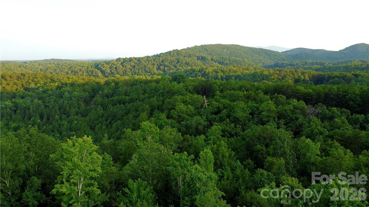 Highlands of Lake Lure - Land