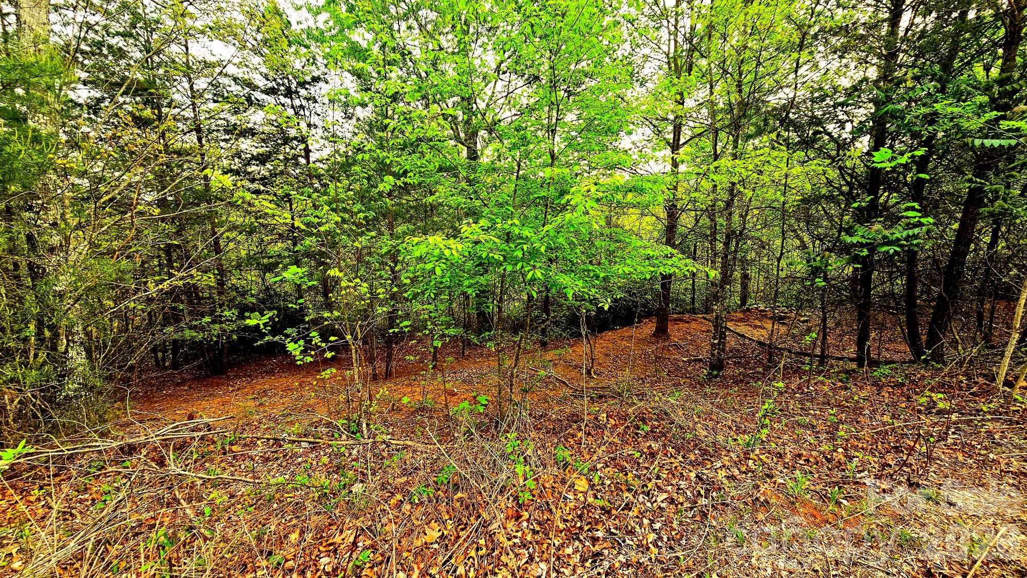 Highlands of Lake Lure - Land