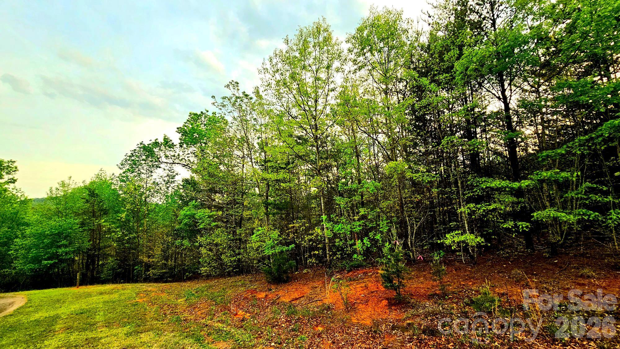 Highlands of Lake Lure - Land