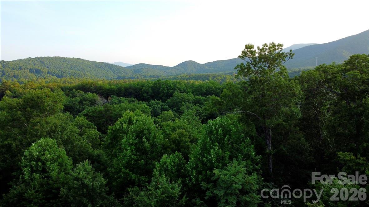 Highlands of Lake Lure - Land