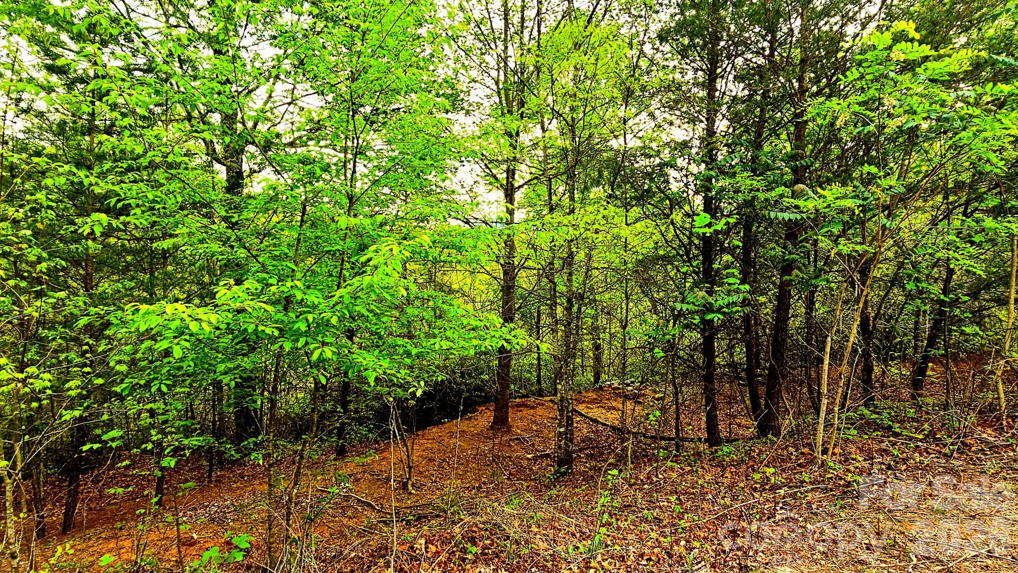 Highlands of Lake Lure - Land