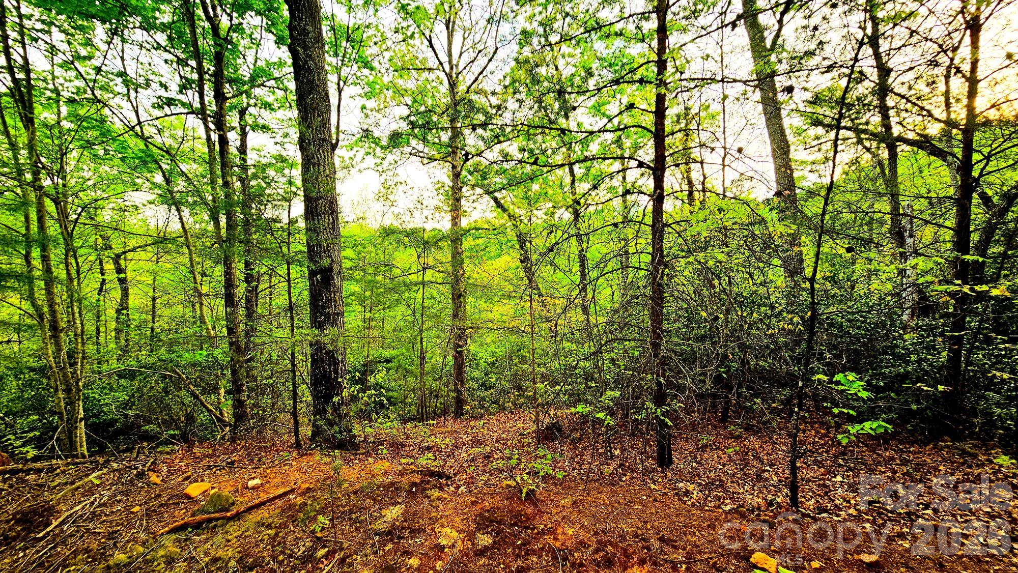 Discover over 2 acres on a prime homesite in the highly sought-after Lake Lure area! Nestled on a quiet cul-de-sac within a gated community, this beautifully shaped rectangular lot offers both privacy and potential. The gently sloping terrain (see aerial for 20-ft contours) provides the perfect setting to capture truly breathtaking mountain views.

Enjoy the convenience of city water and underground power already in place. Have your home built and move in to enjoy the resurgence of the Lake Lure/Chimney Rock area. Located just minutes from everyday essentials and local attractions—grocery stores, dining, the beach at Lake Lure, zip lining, hiking trails, and scenic boat tours—this property offers the ideal blend of tranquility and accessibility.

This is a gated community—no drive-bys permitted. Schedule your private showing today. Call or text to secure your appointment!