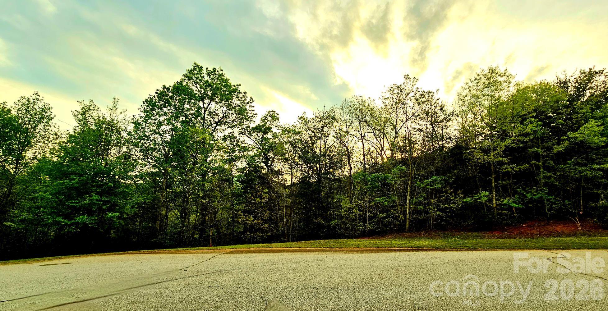 Highlands of Lake Lure - Land