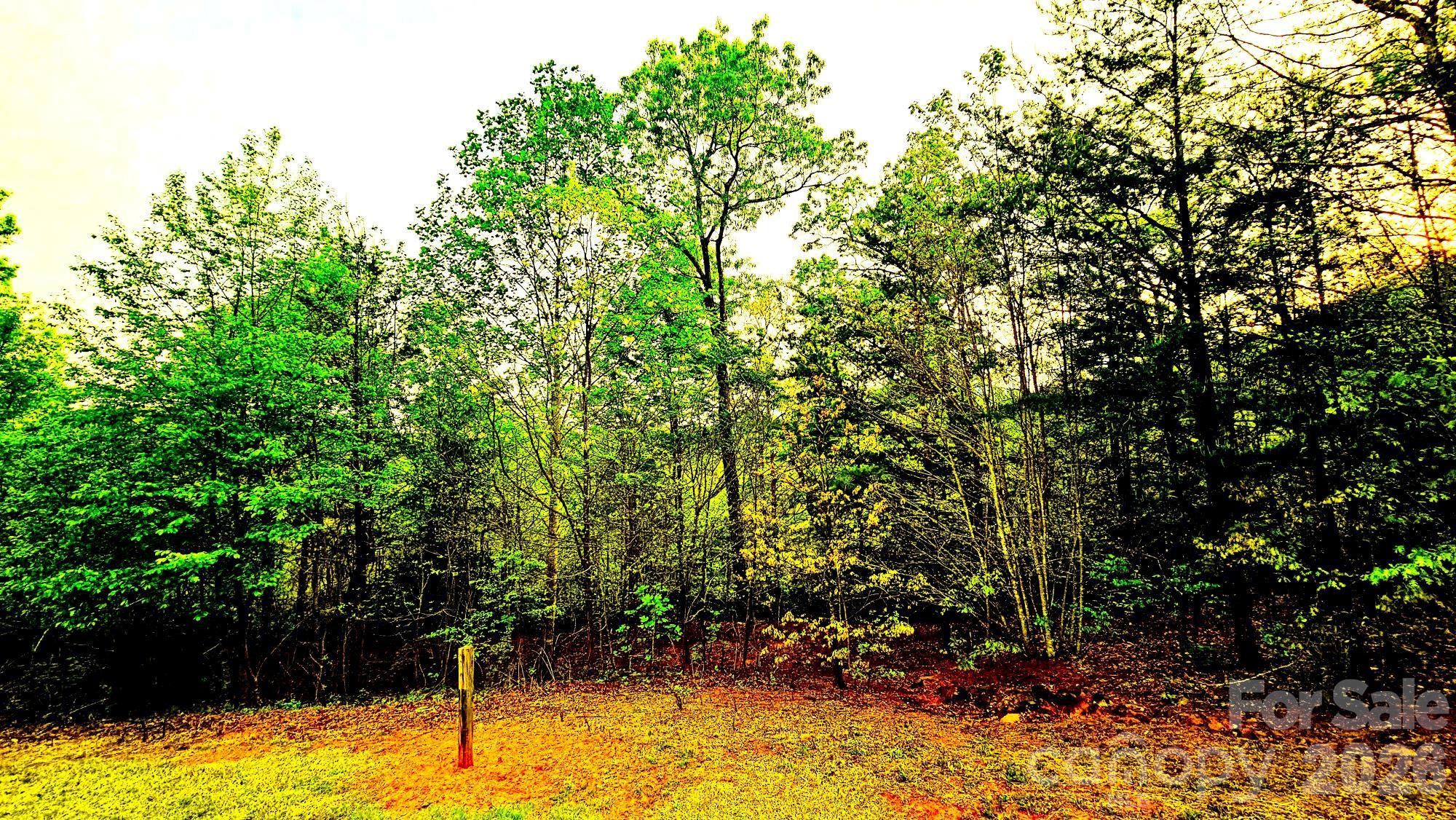 Highlands of Lake Lure - Land