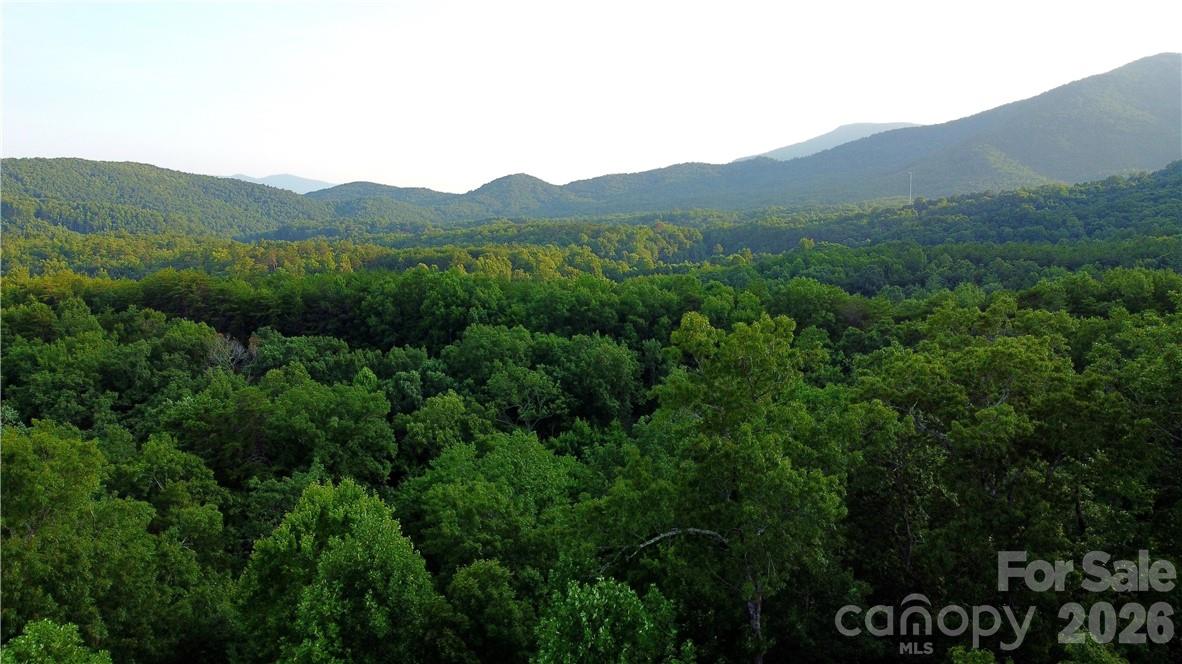 Highlands of Lake Lure - Land