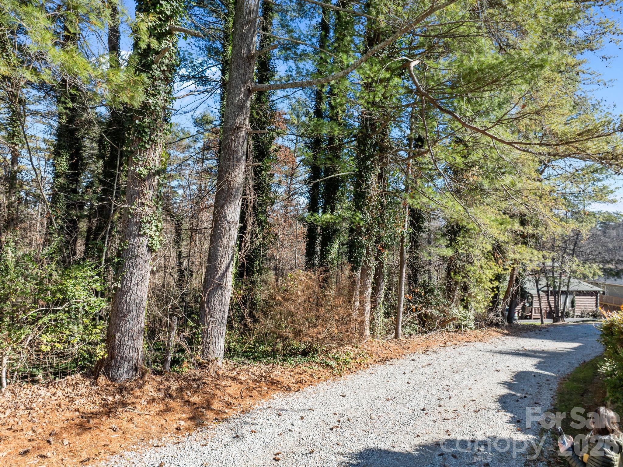 Leonis Mountain Lake Homes - Land