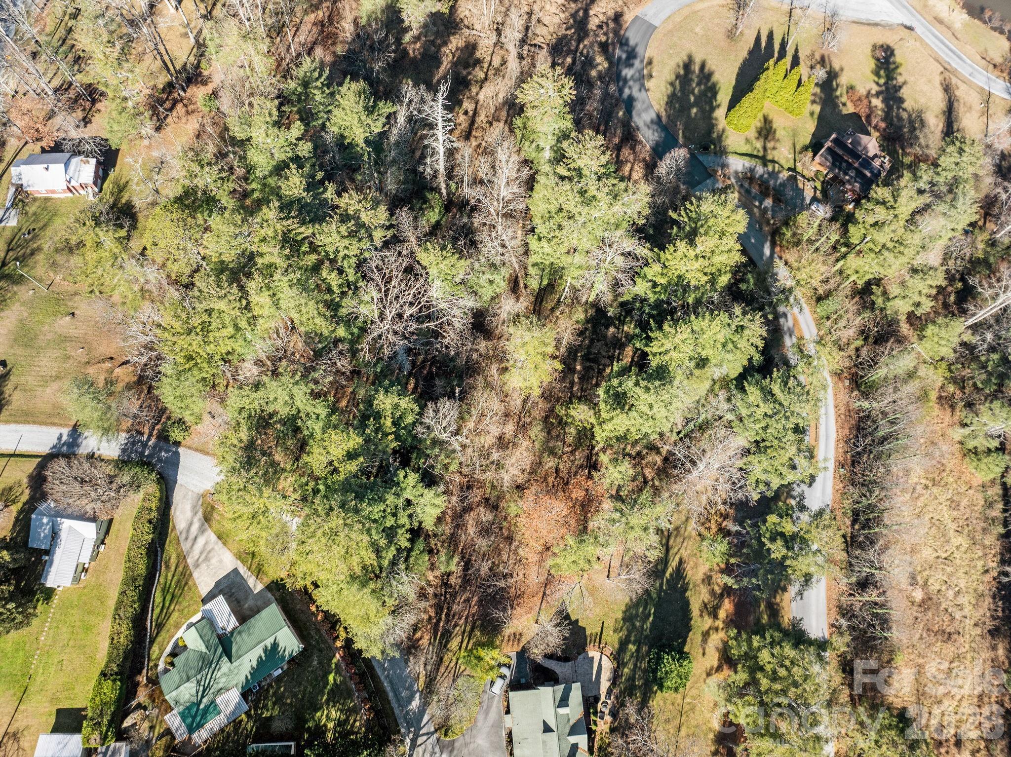 Leonis Mountain Lake Homes - Land