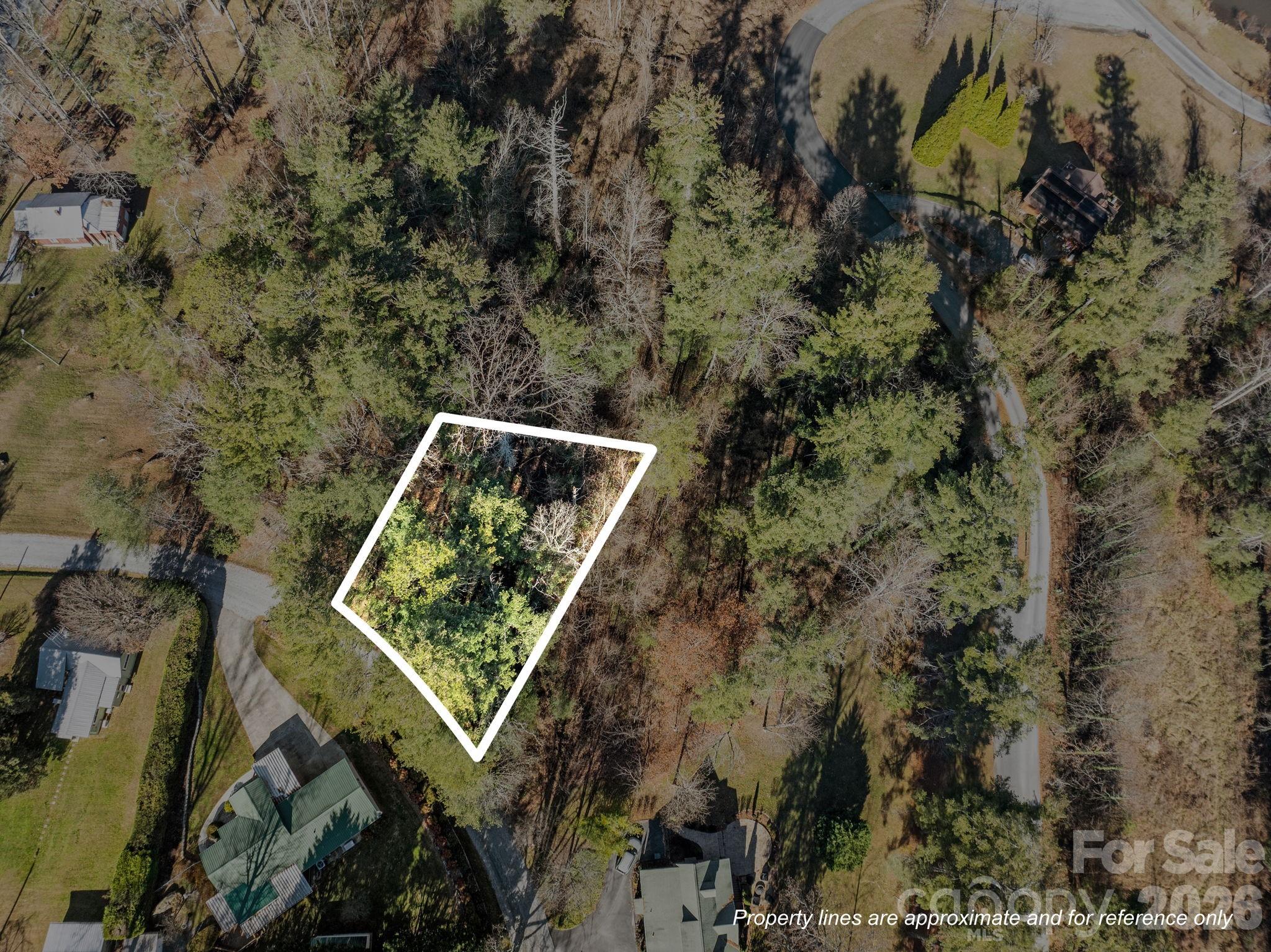 Leonis Mountain Lake Homes - Land